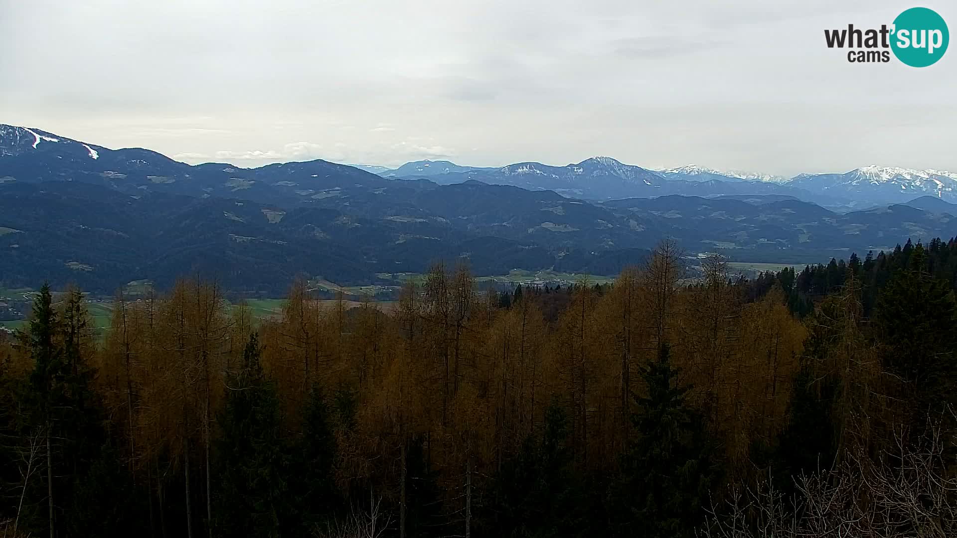 Kapunar Webcam – Radlje ob Dravi