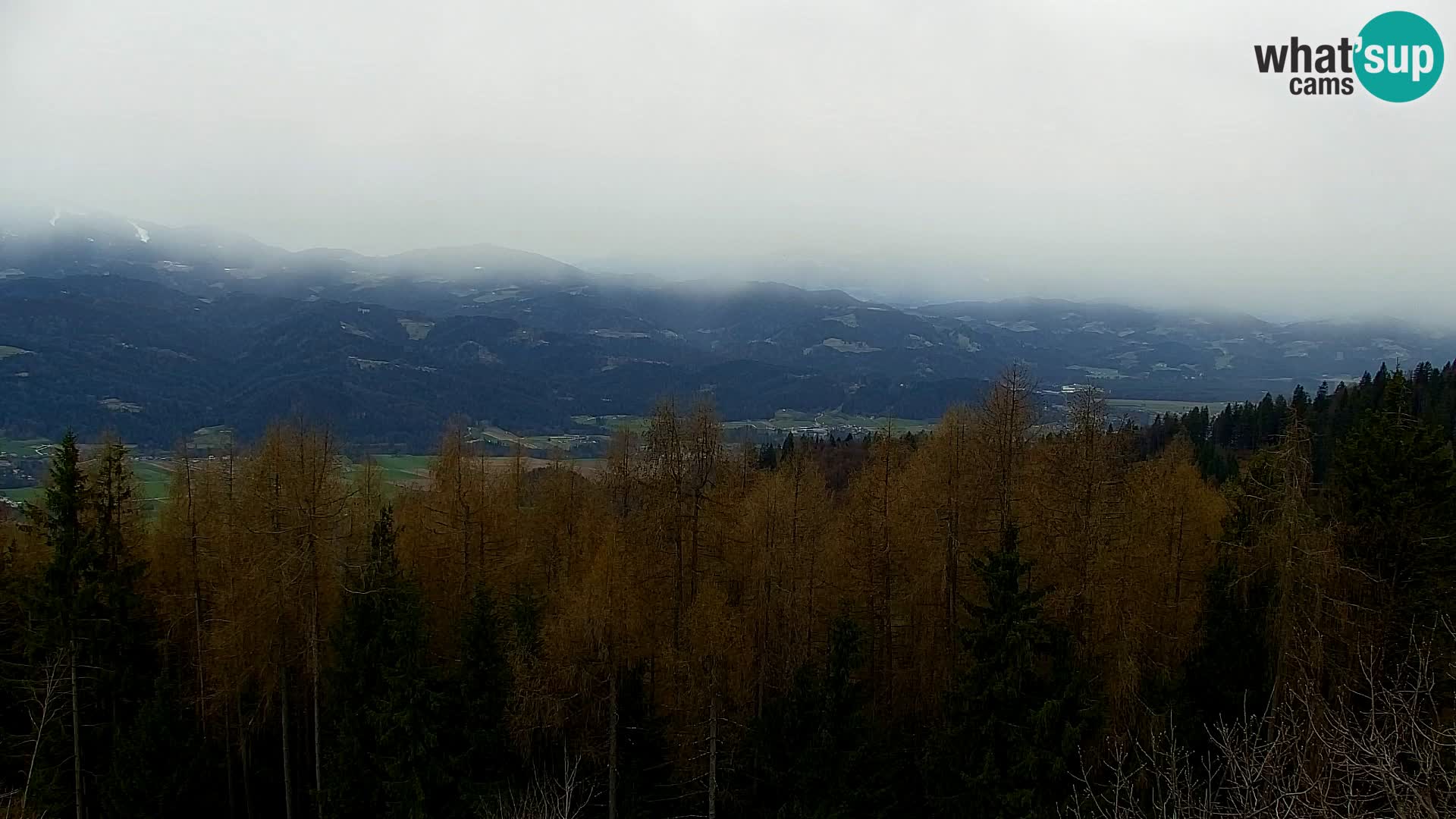 Kapunar Webcam – Radlje ob Dravi