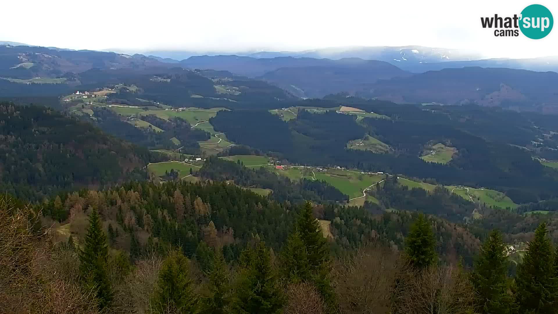 Spletna kamera Kapunar – Radlje ob Dravi