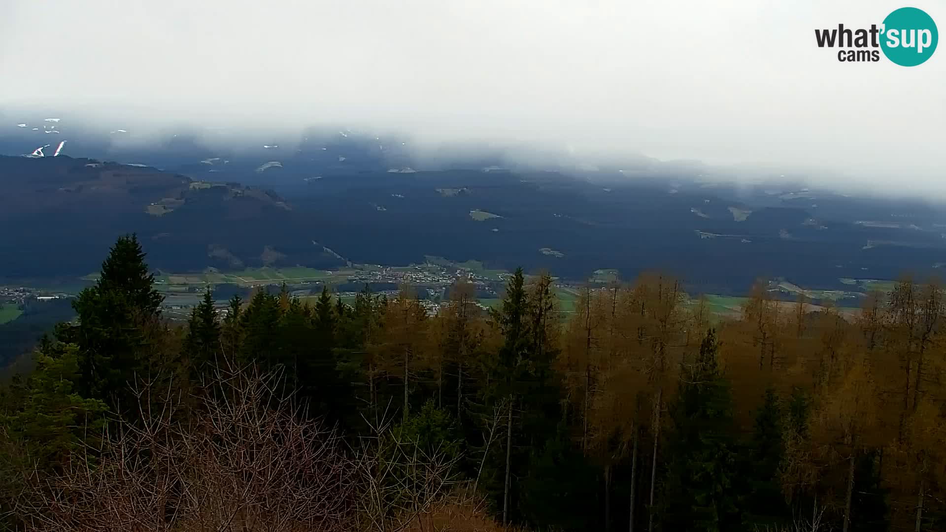 Spletna kamera Kapunar – Radlje ob Dravi