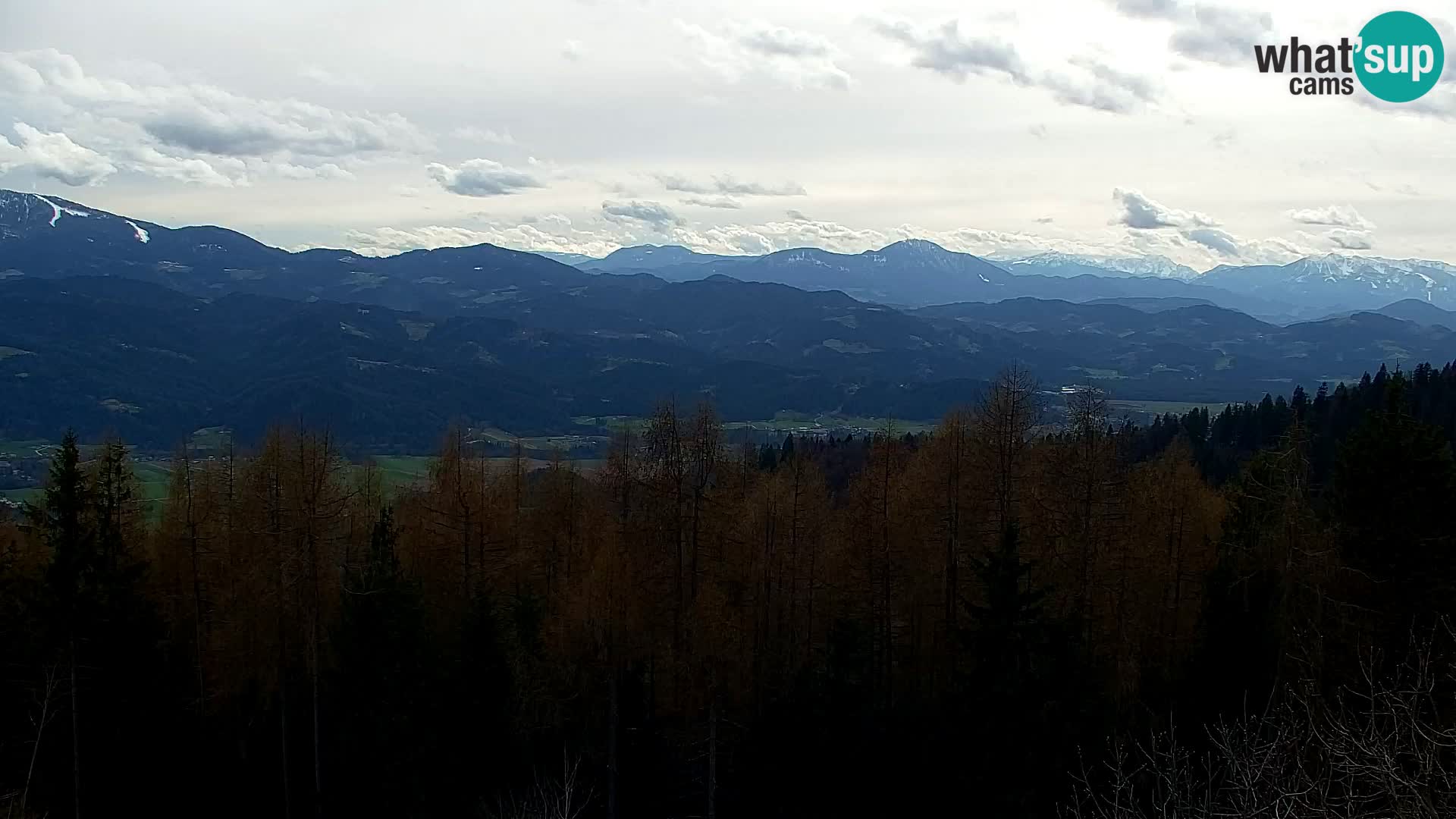 Spletna kamera Kapunar – Radlje ob Dravi