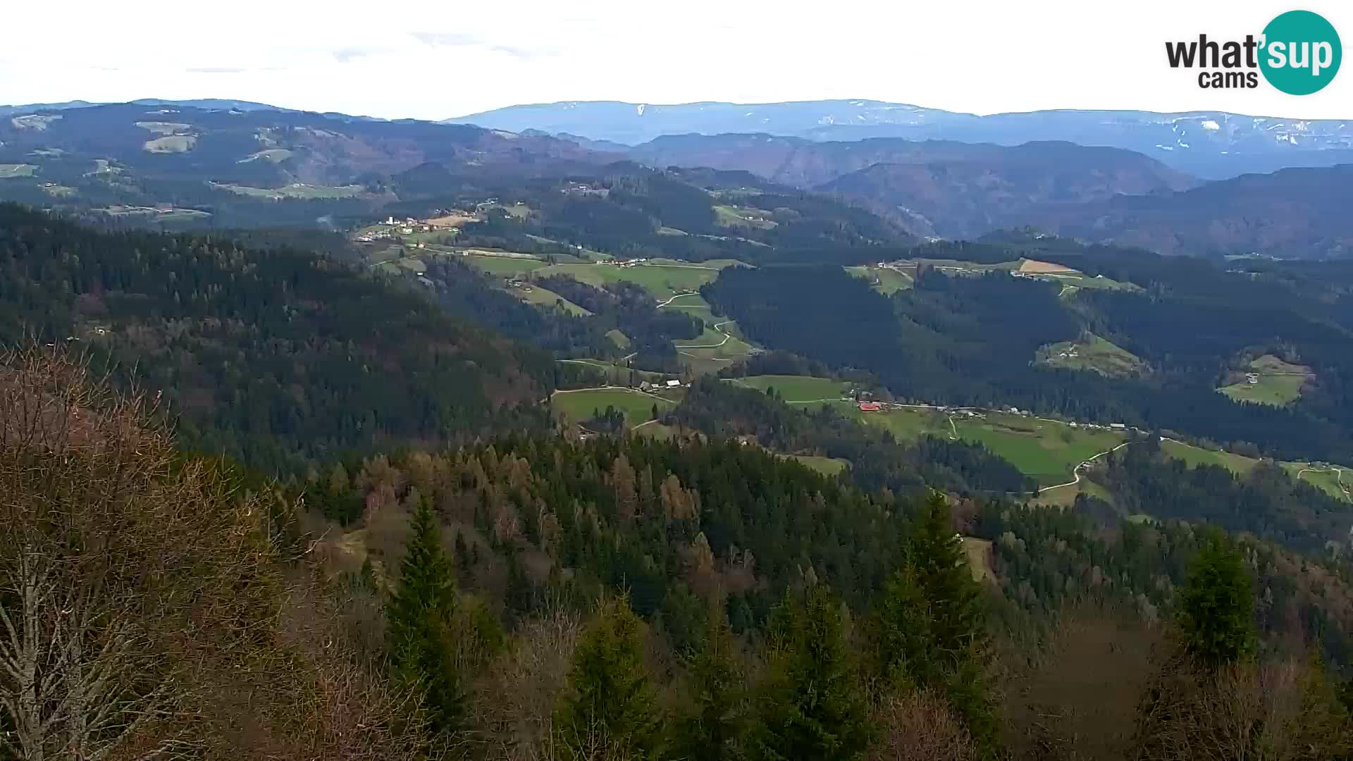 Spletna kamera Kapunar – Radlje ob Dravi