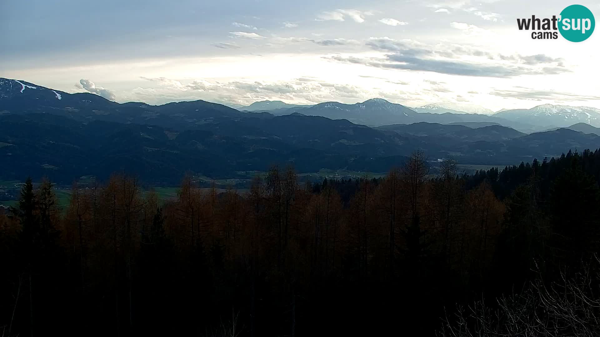 Spletna kamera Kapunar – Radlje ob Dravi