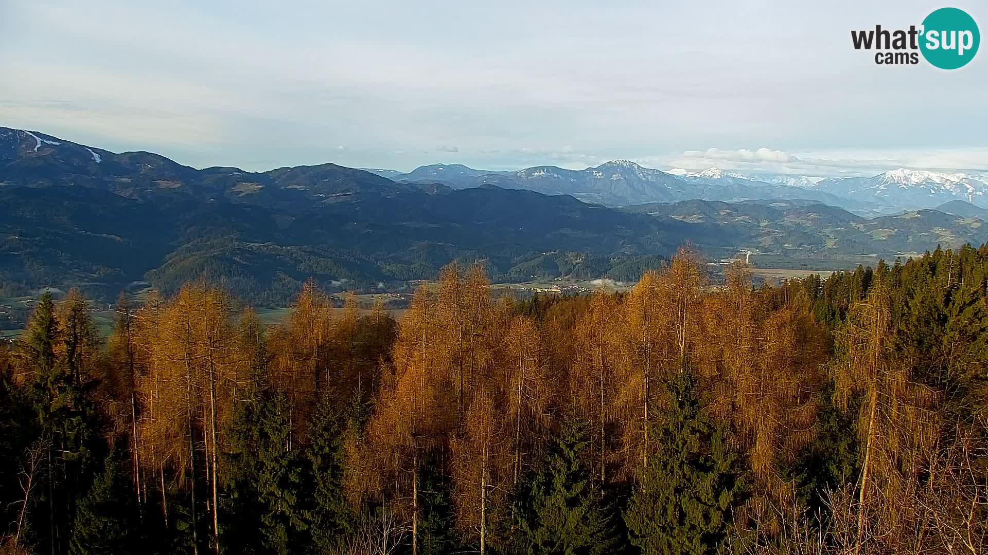 Webcam Kapunar – Radlje ob Dravi