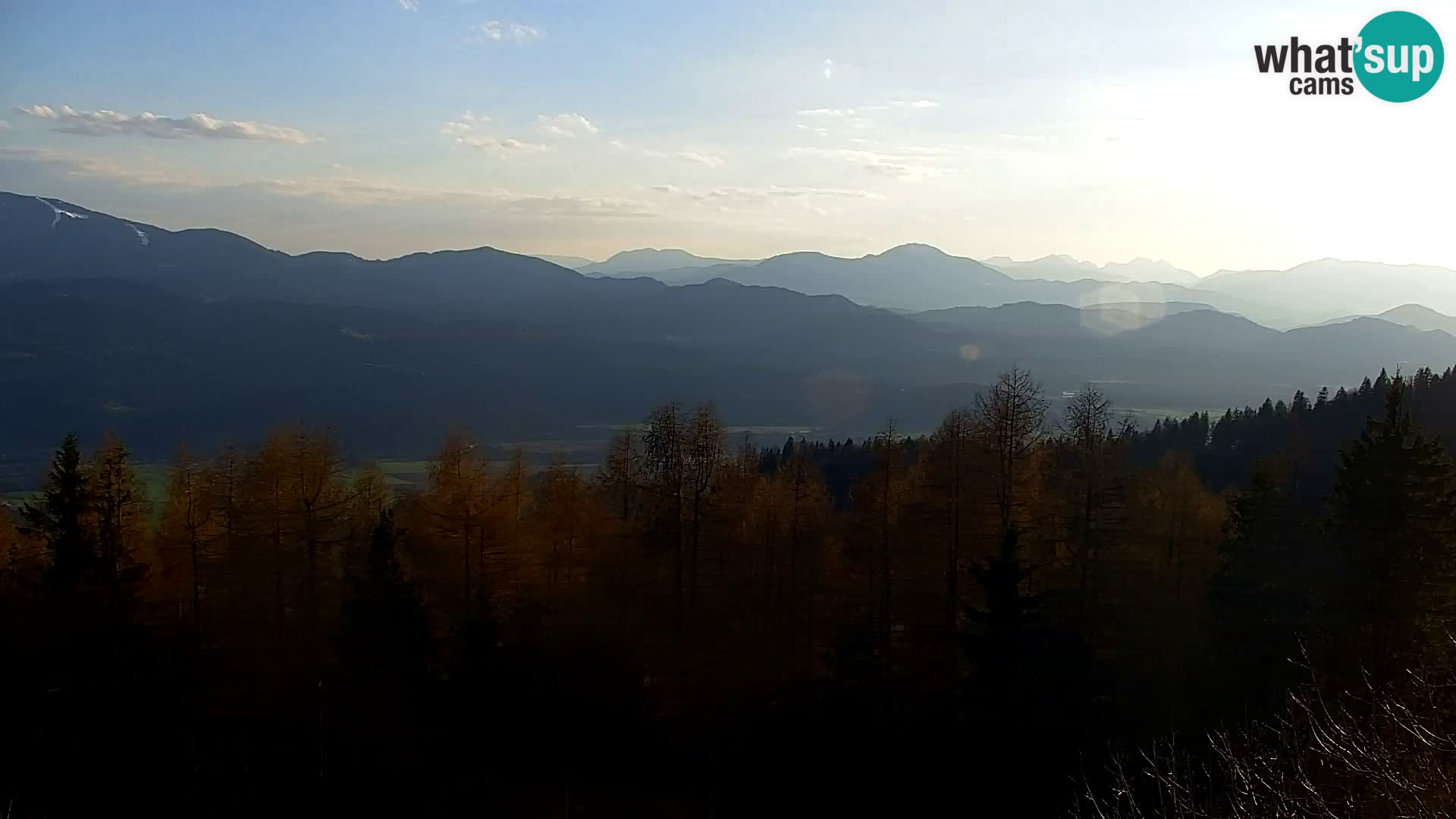 Spletna kamera Kapunar – Radlje ob Dravi