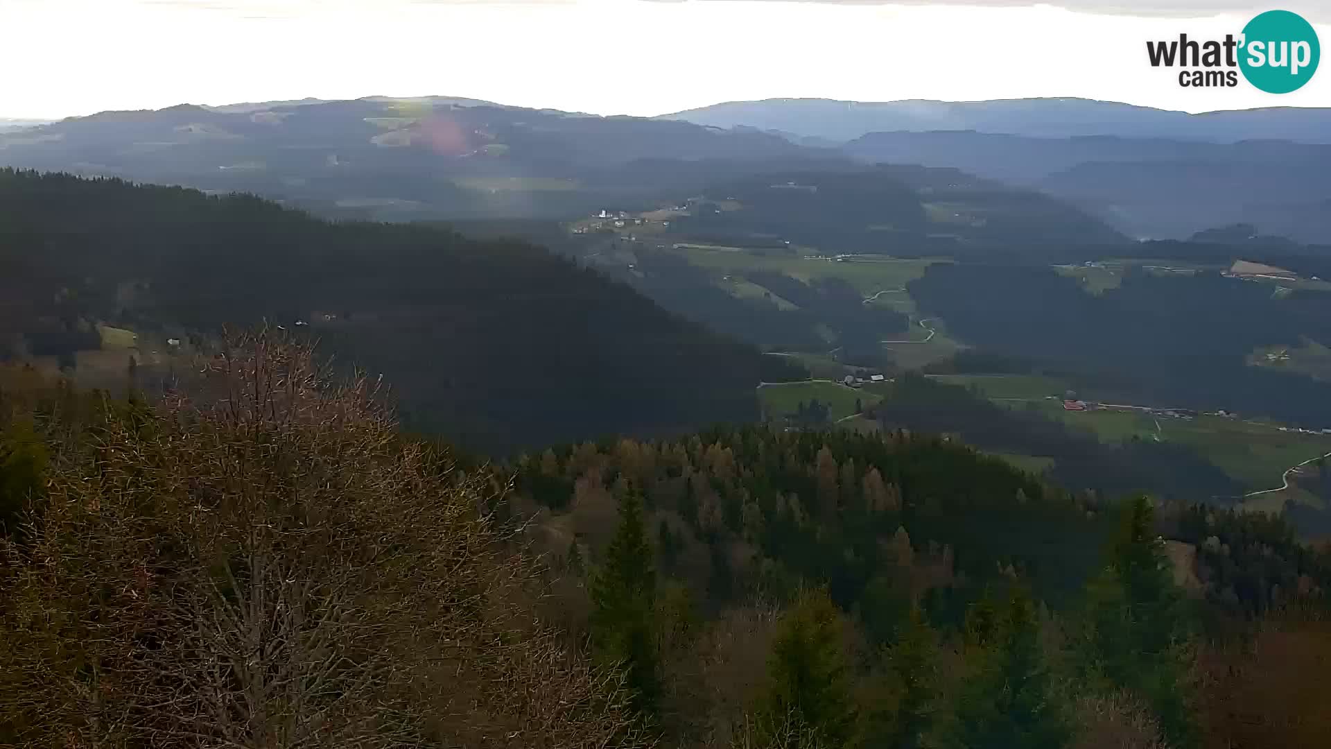 Webcam Kapunar – Radlje ob Dravi