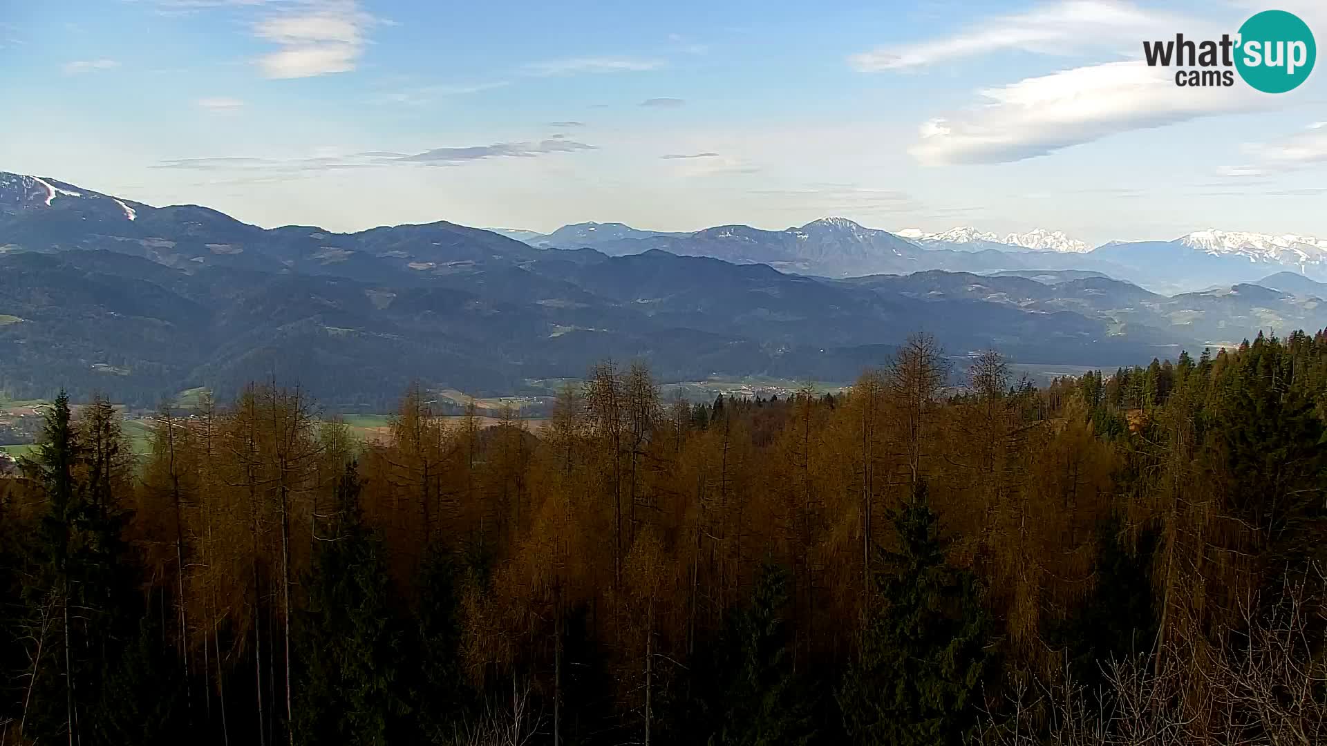 Spletna kamera Kapunar – Radlje ob Dravi