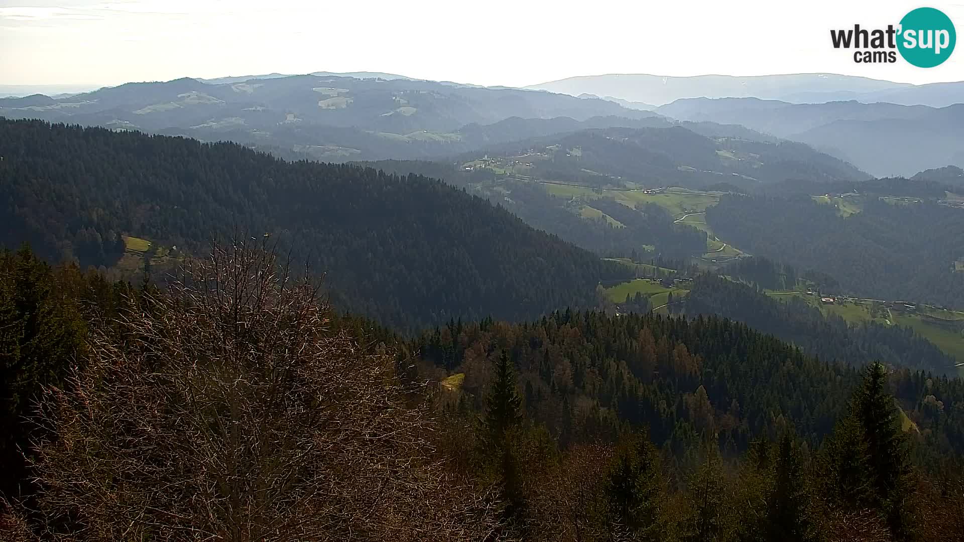 Kapunar Webcam – Radlje ob Dravi