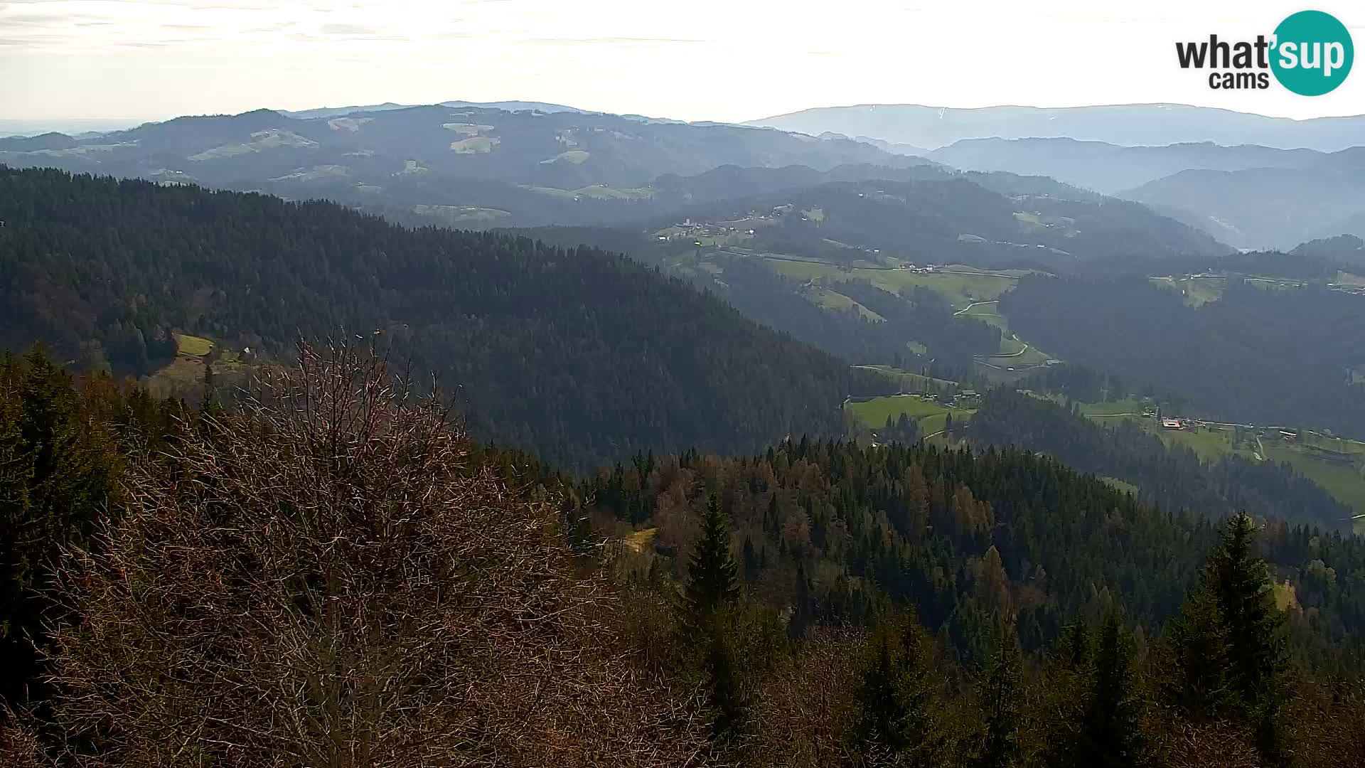 Spletna kamera Kapunar – Radlje ob Dravi