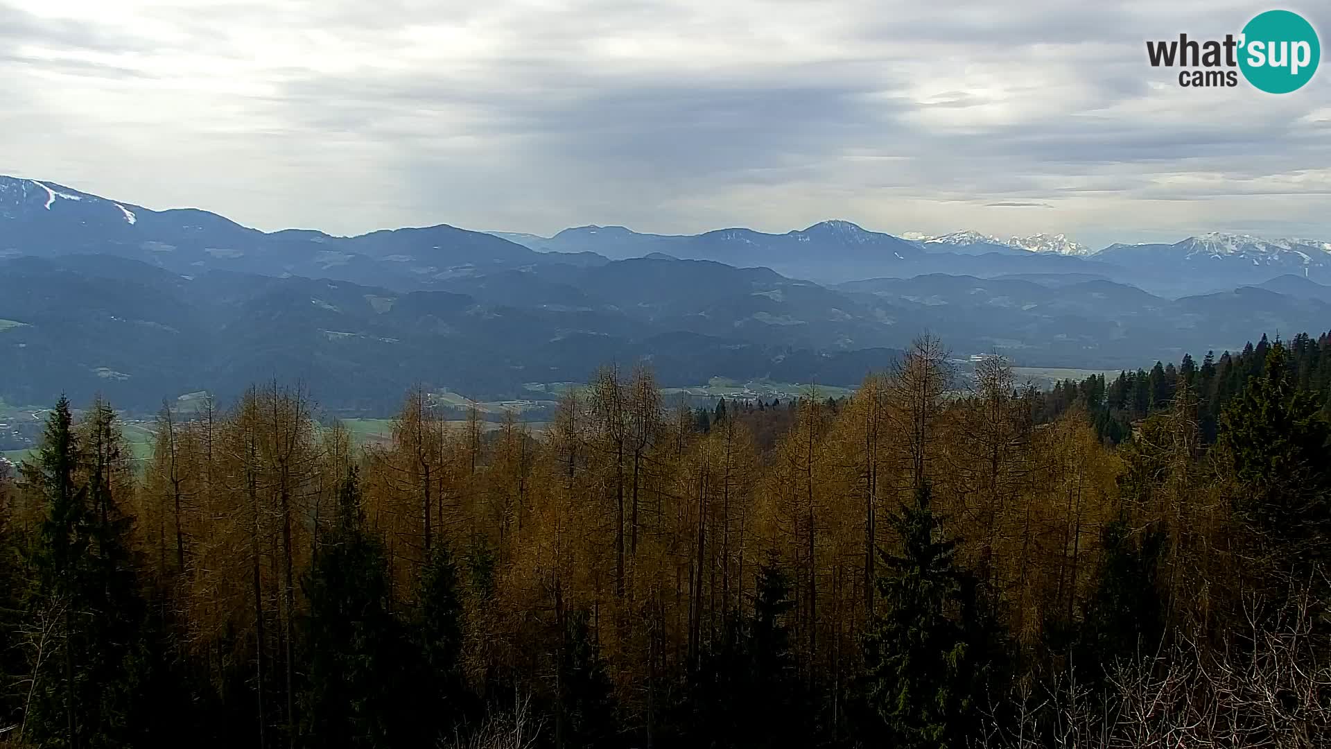 Spletna kamera Kapunar – Radlje ob Dravi