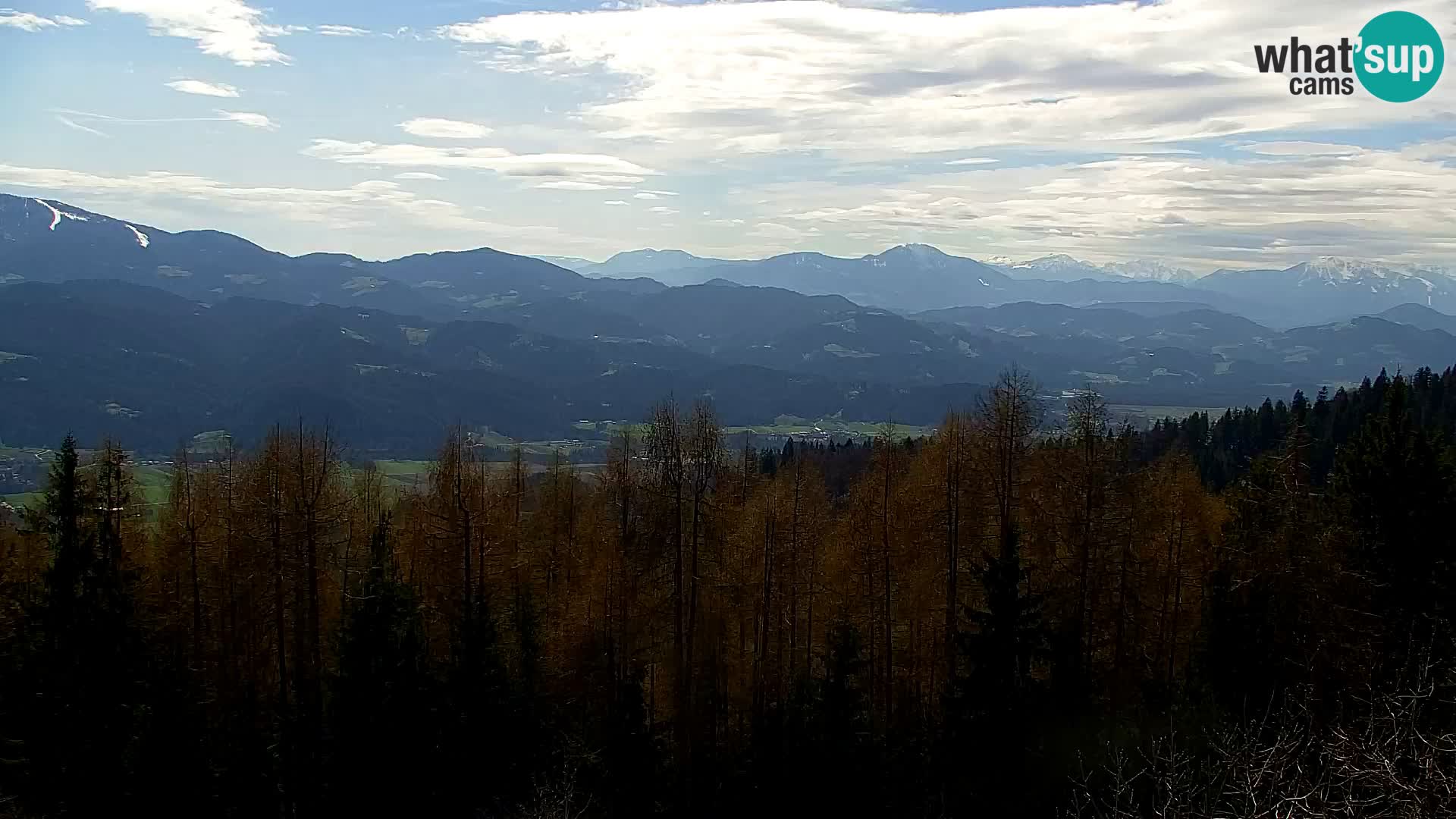 Webcam Kapunar – Radlje ob Dravi