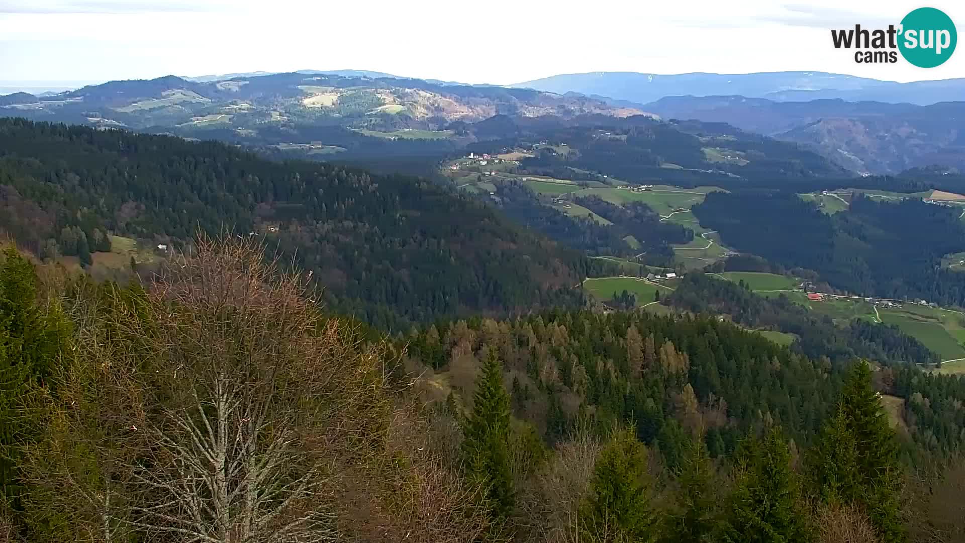 Webcam Kapunar – Radlje ob Dravi