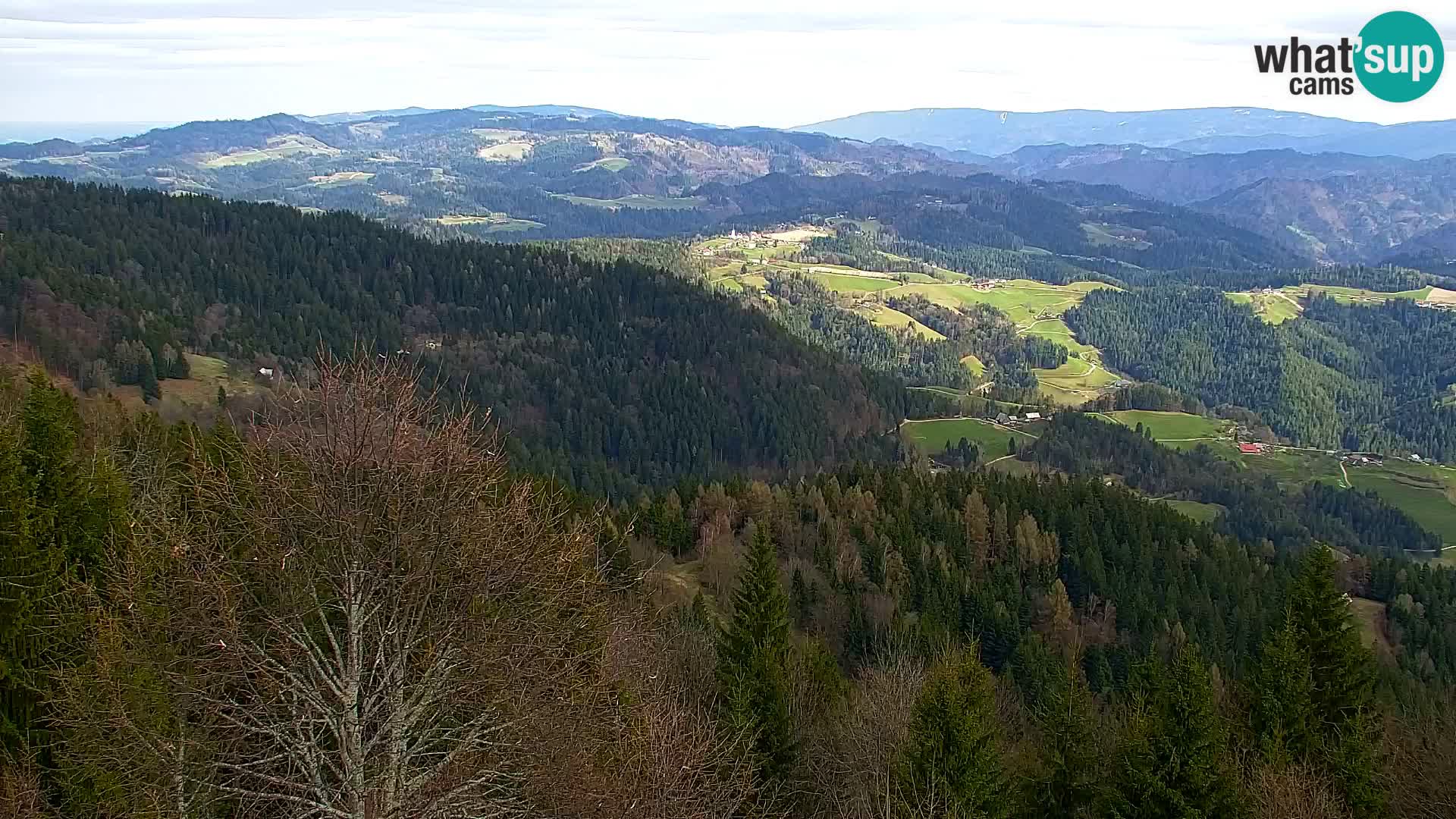 Kapunar Webcam – Radlje ob Dravi