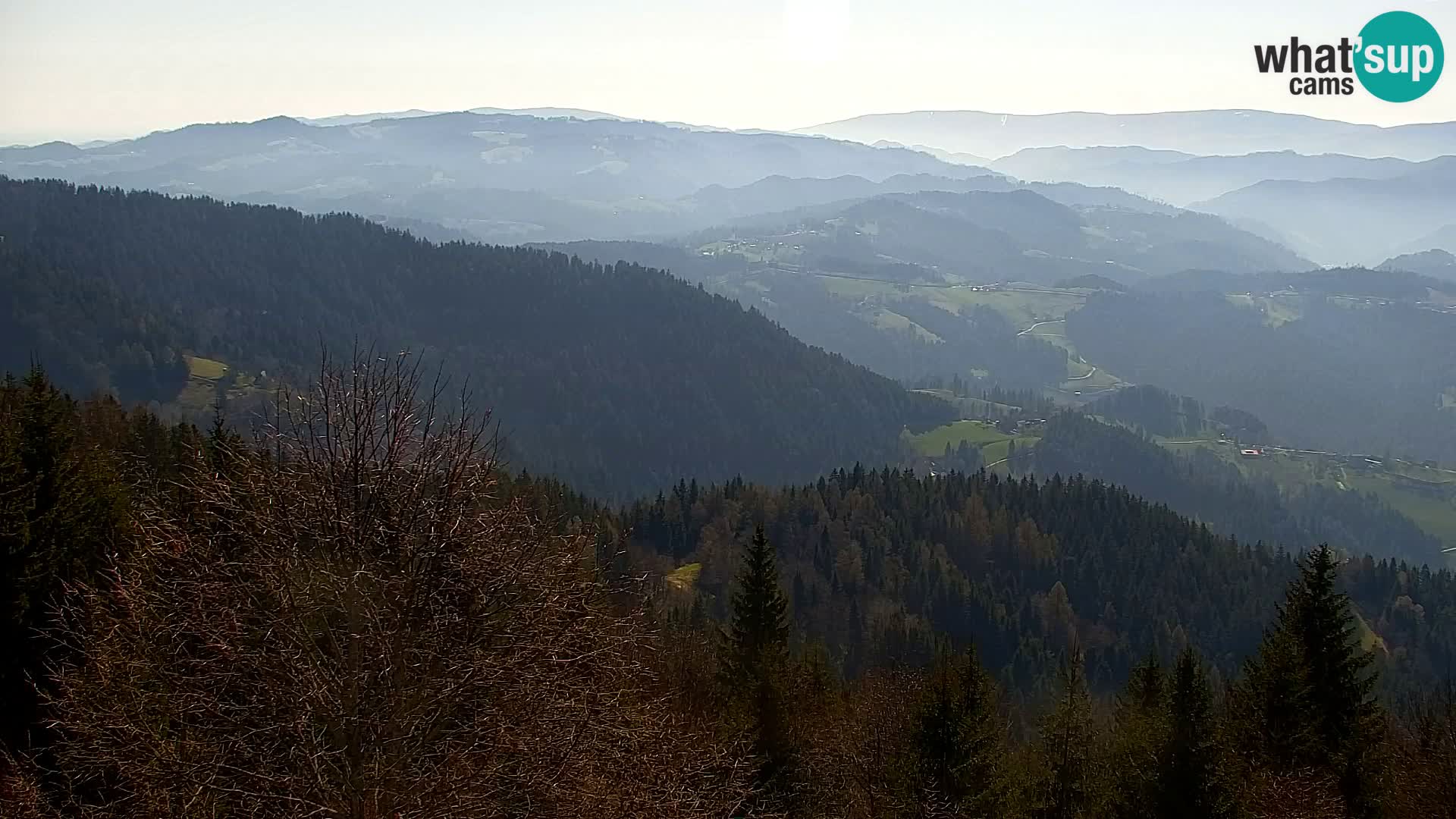 Spletna kamera Kapunar – Radlje ob Dravi