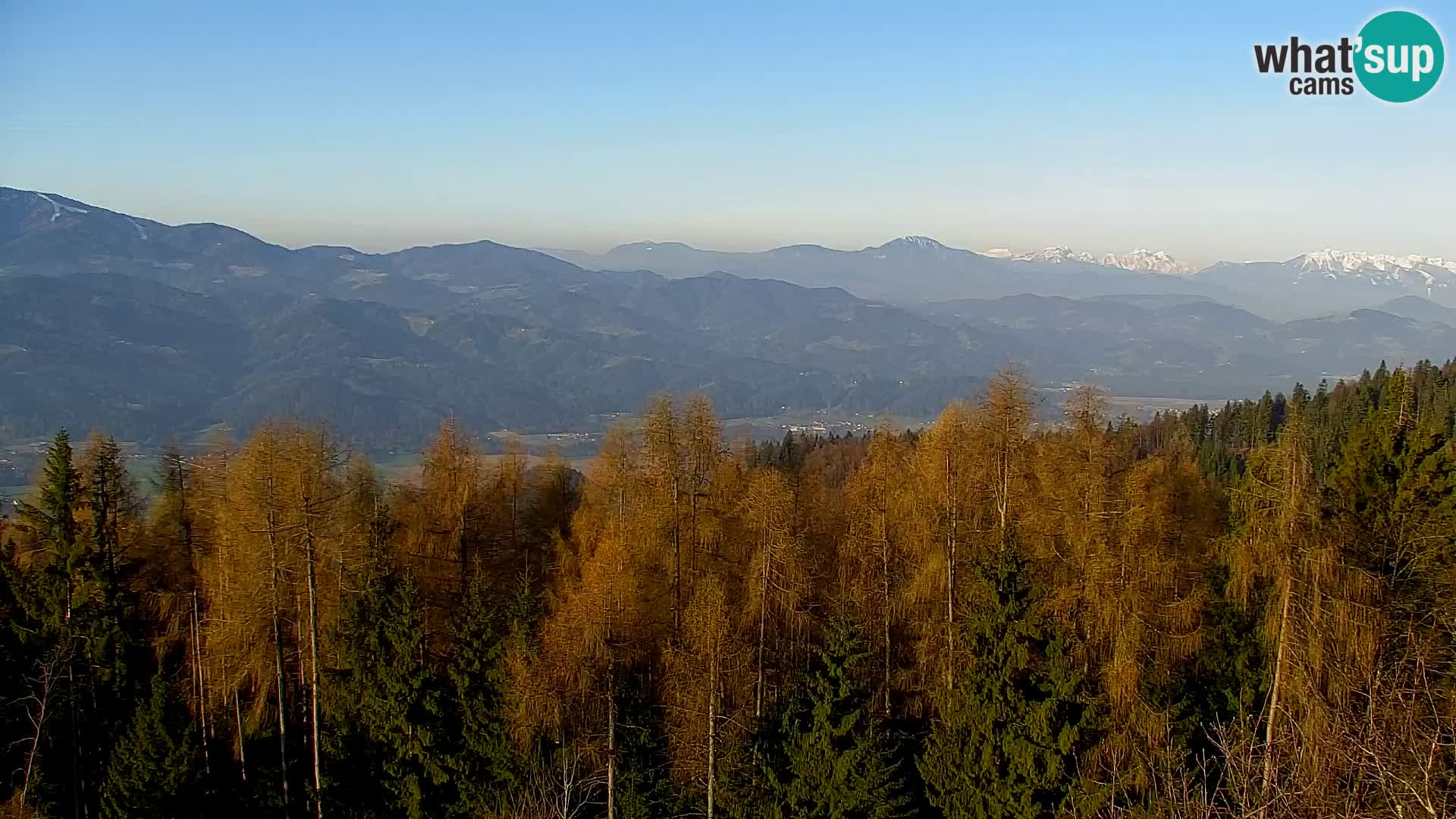 Spletna kamera Kapunar – Radlje ob Dravi