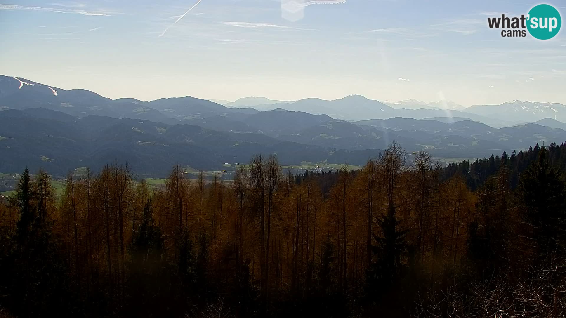 Kapunar Web kamera – Radlje ob Dravi