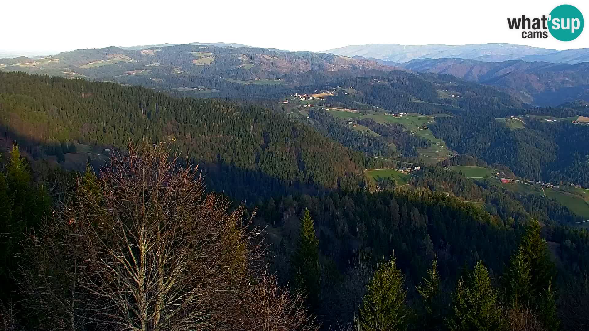 Kapunar Web kamera – Radlje ob Dravi