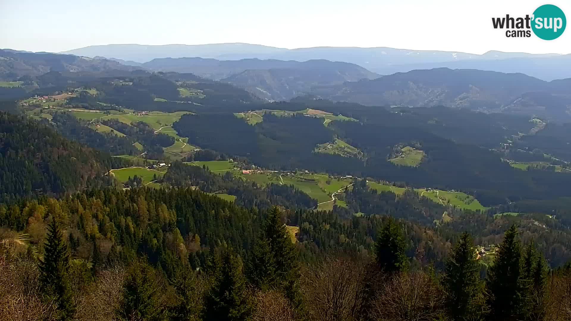 Webcam Kapunar – Radlje ob Dravi