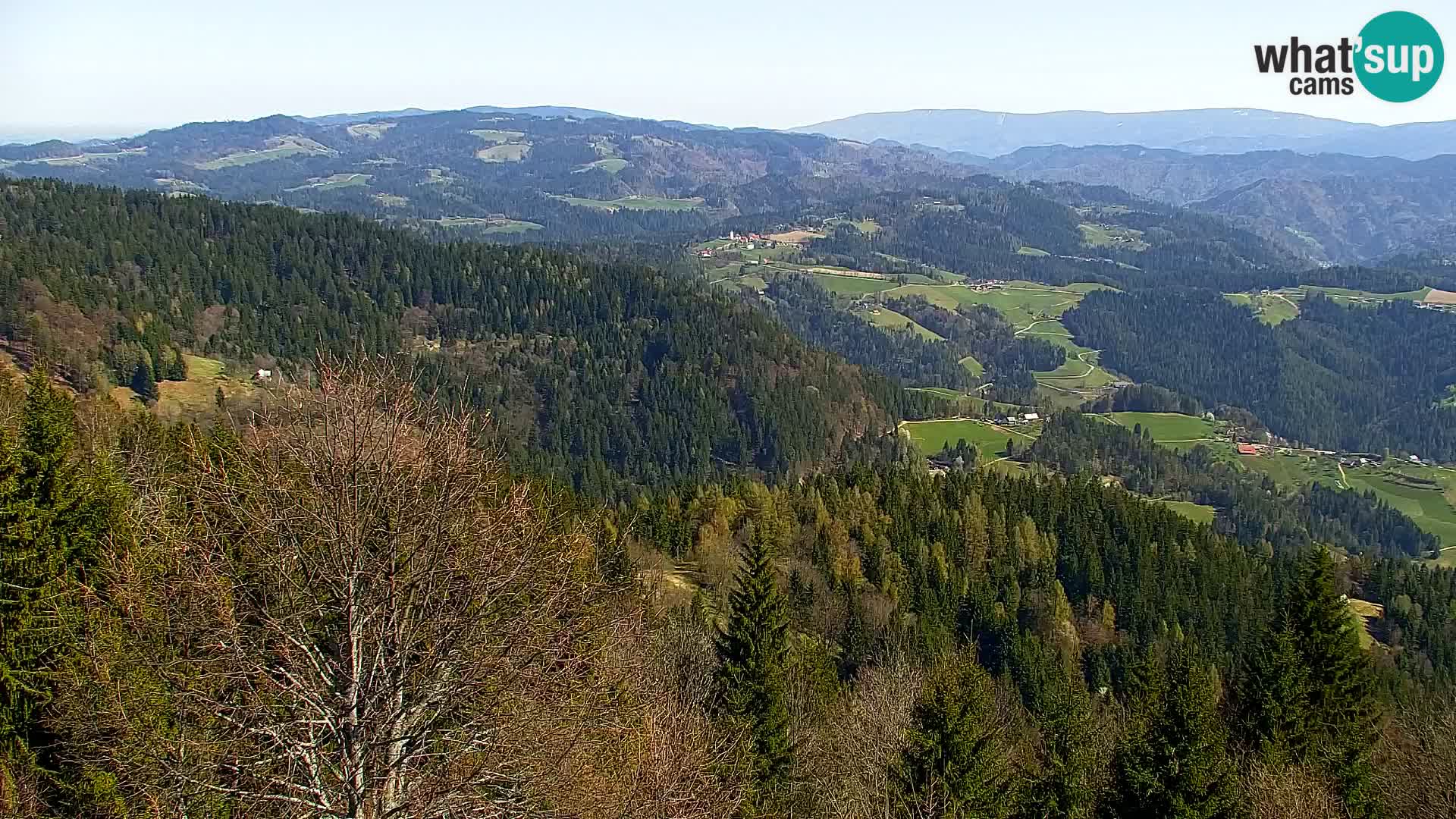 Spletna kamera Kapunar – Radlje ob Dravi