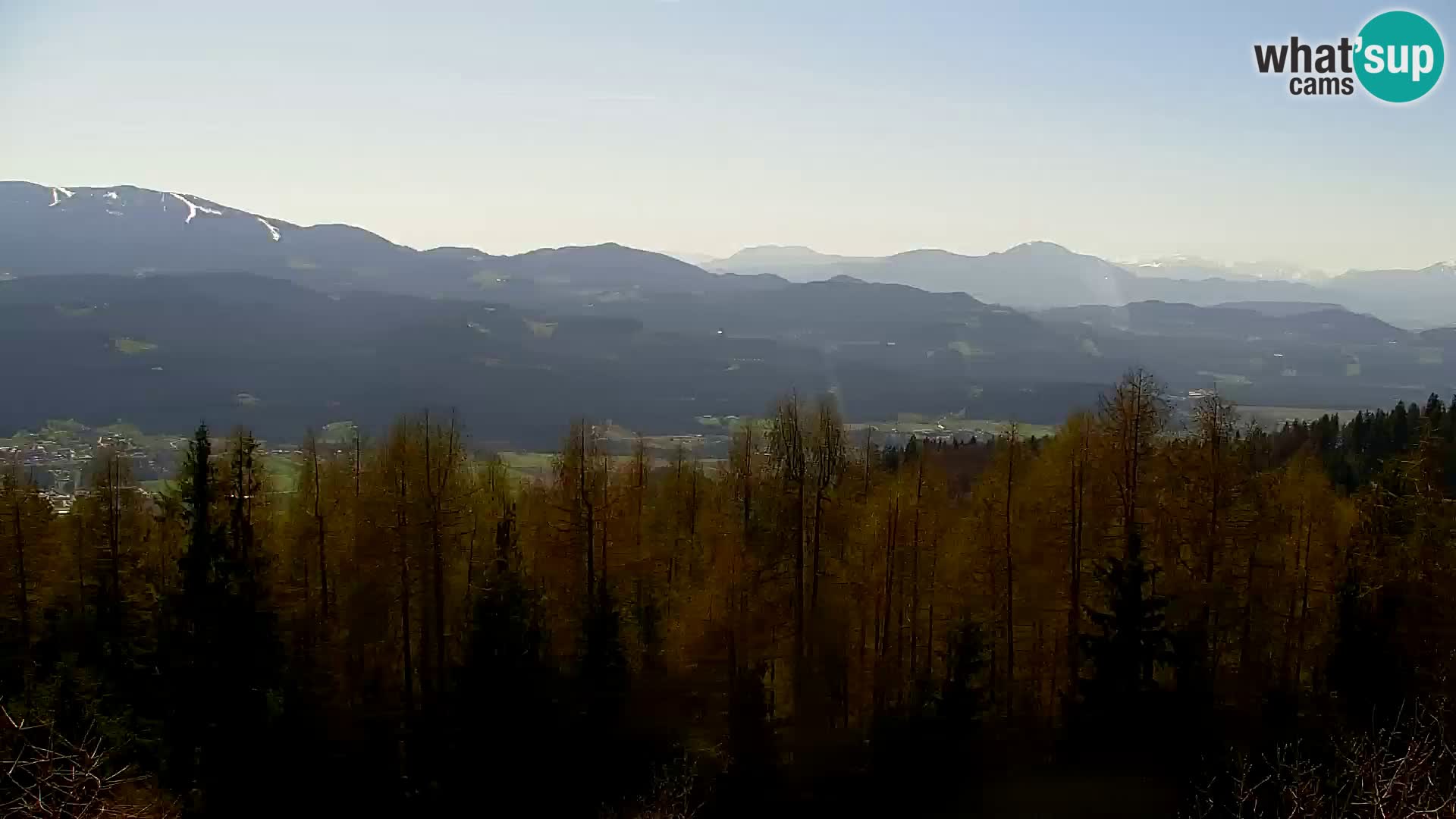 Live cam Kapunar – Radlje ob Dravi