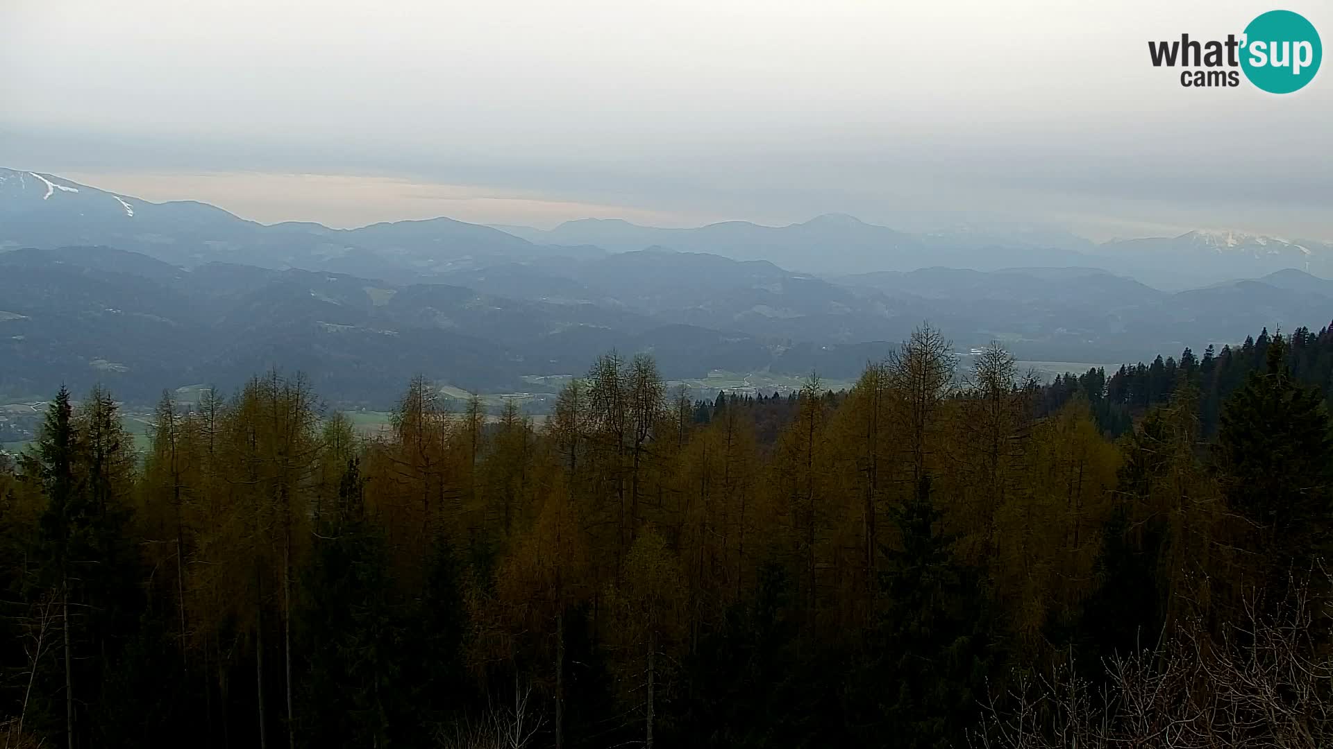 Webcam Kapunar – Radlje ob Dravi