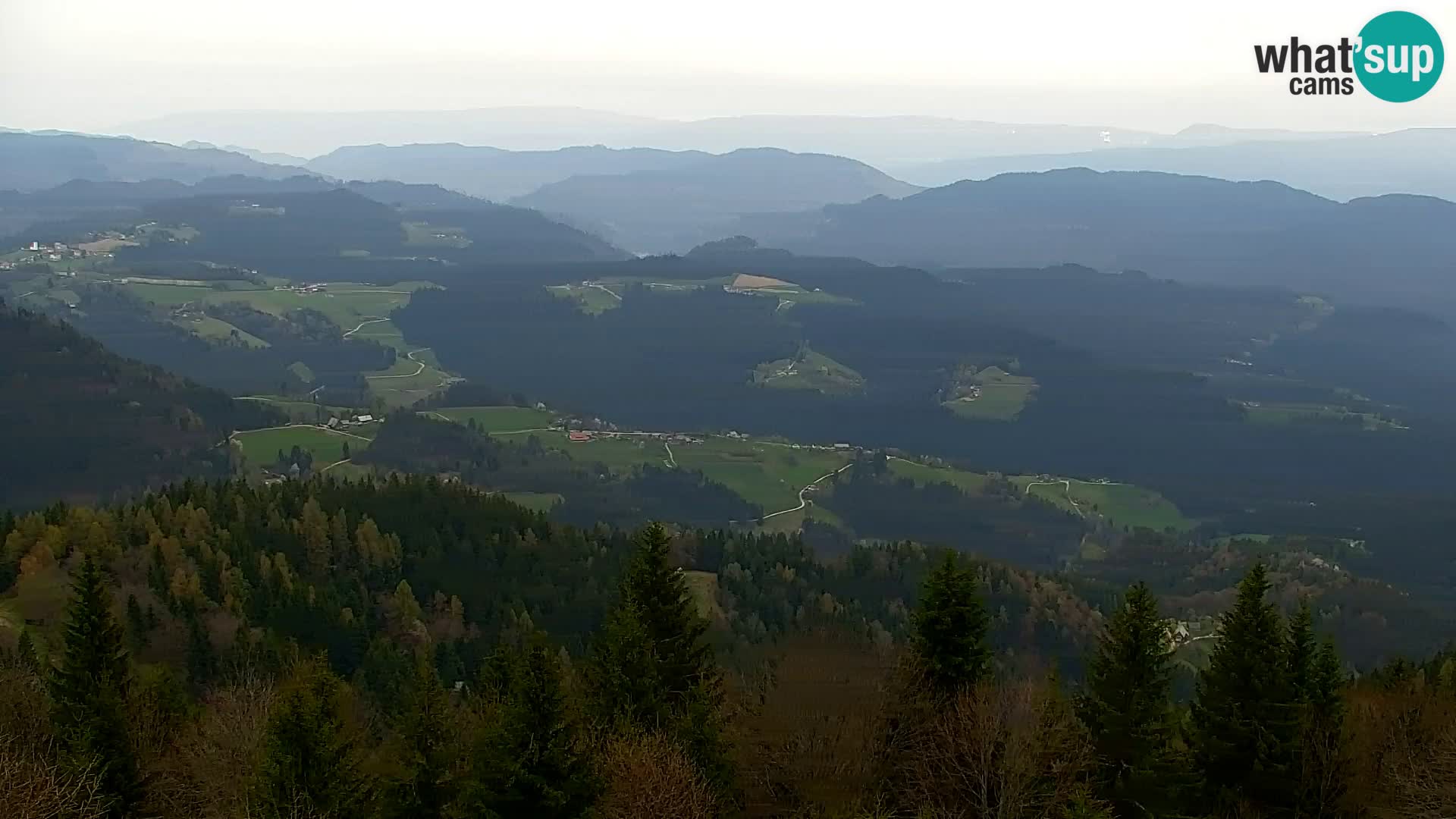 Webcam Kapunar – Radlje ob Dravi