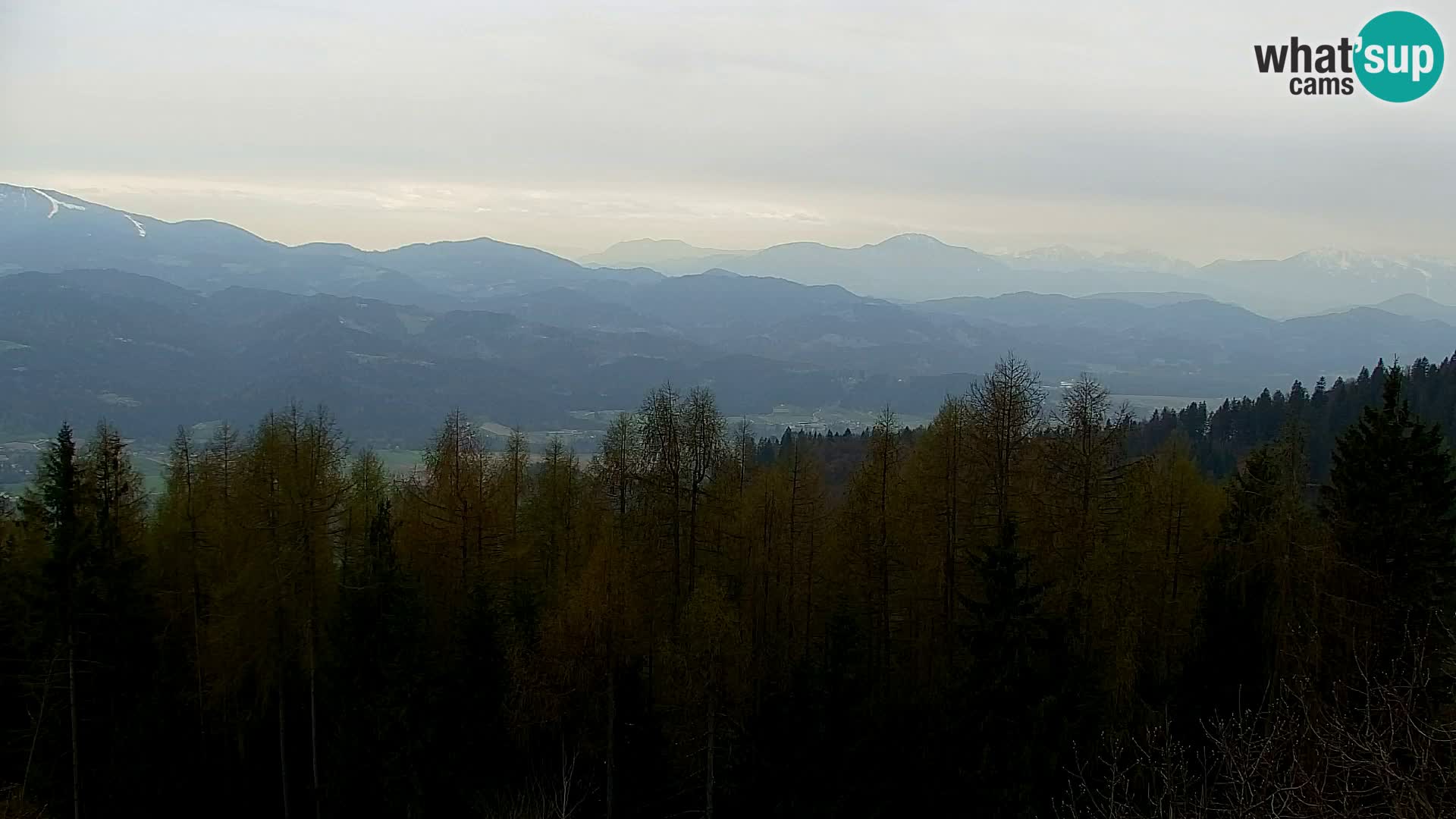 Webcam Kapunar – Radlje ob Dravi