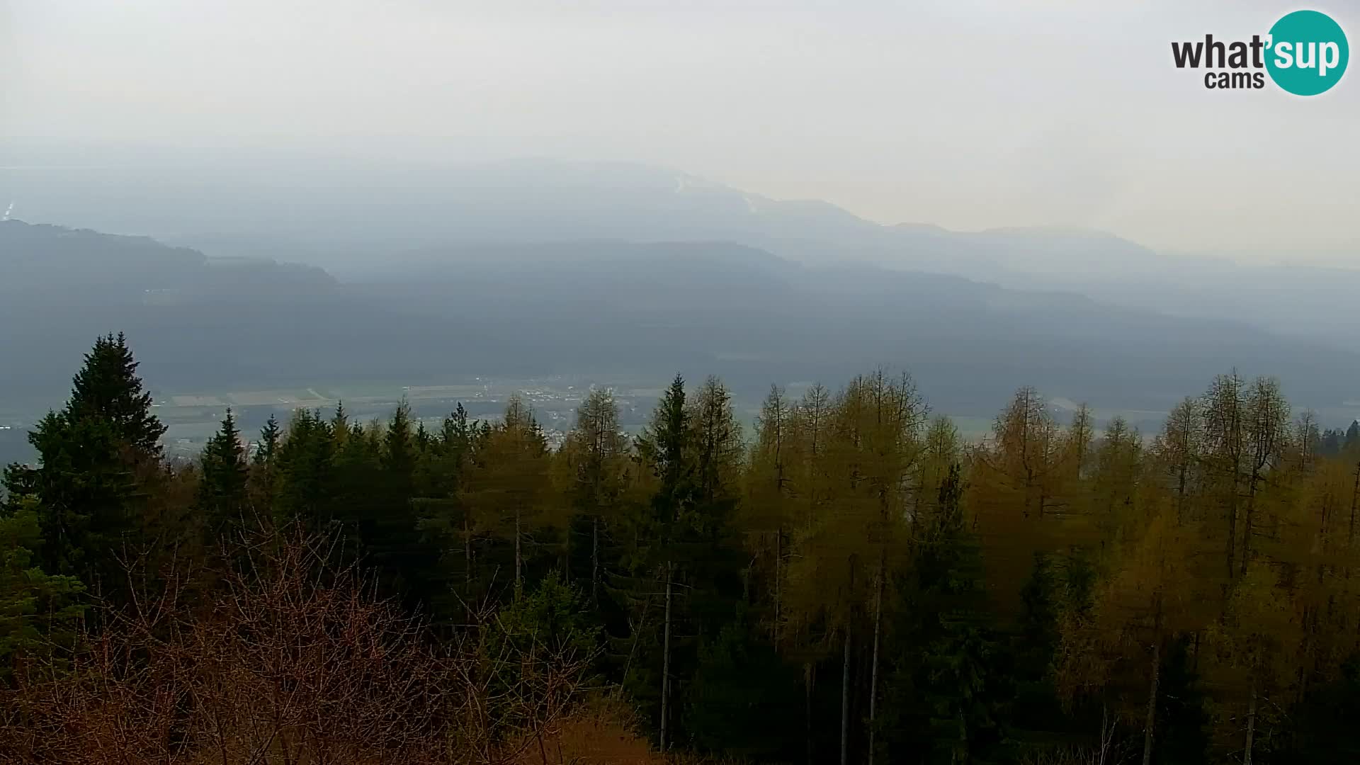 Webcam Kapunar – Radlje ob Dravi