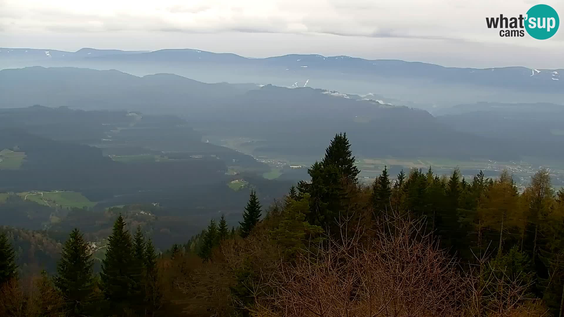 Live cam Kapunar – Radlje ob Dravi