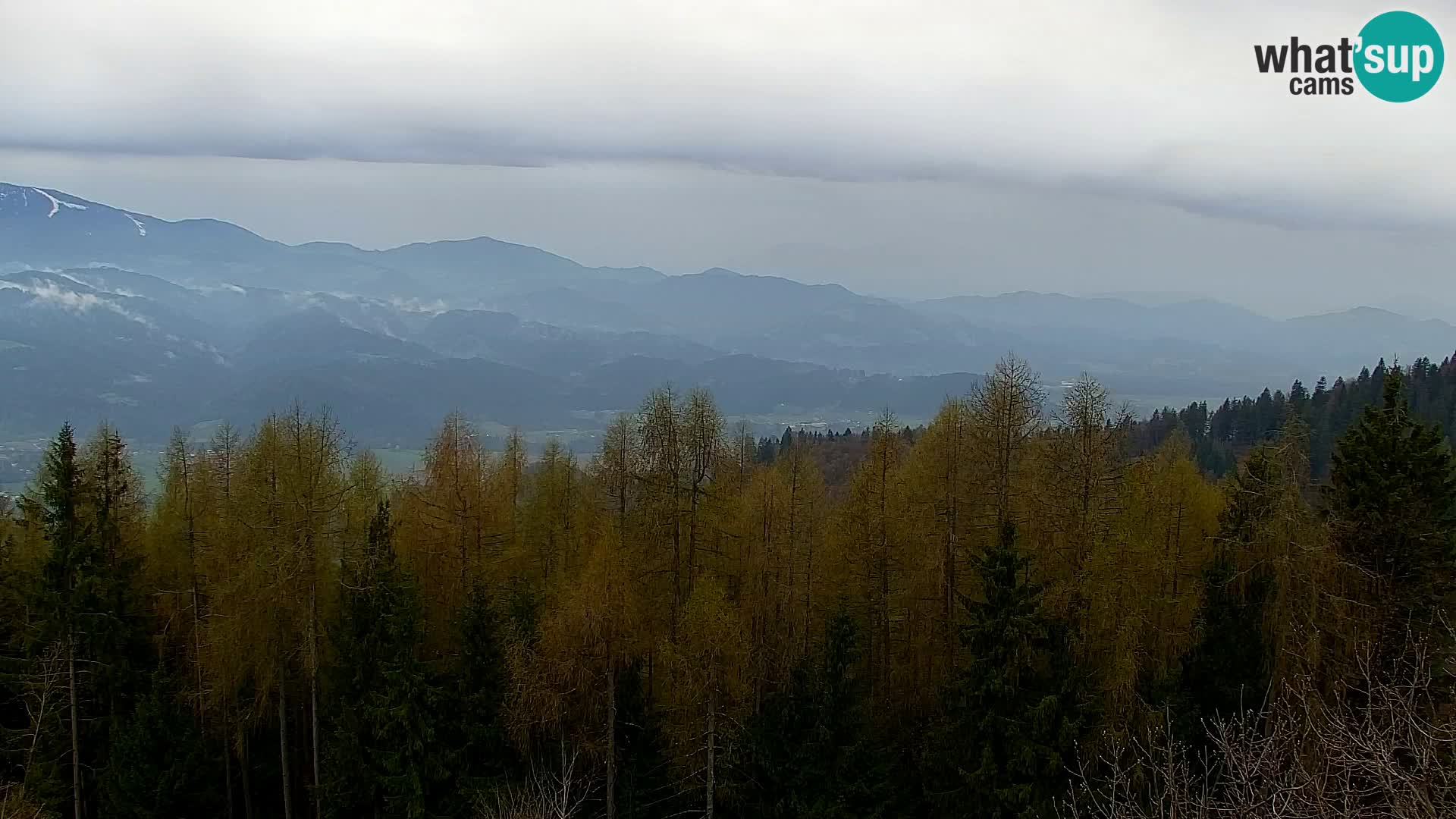 Webcam Kapunar – Radlje ob Dravi