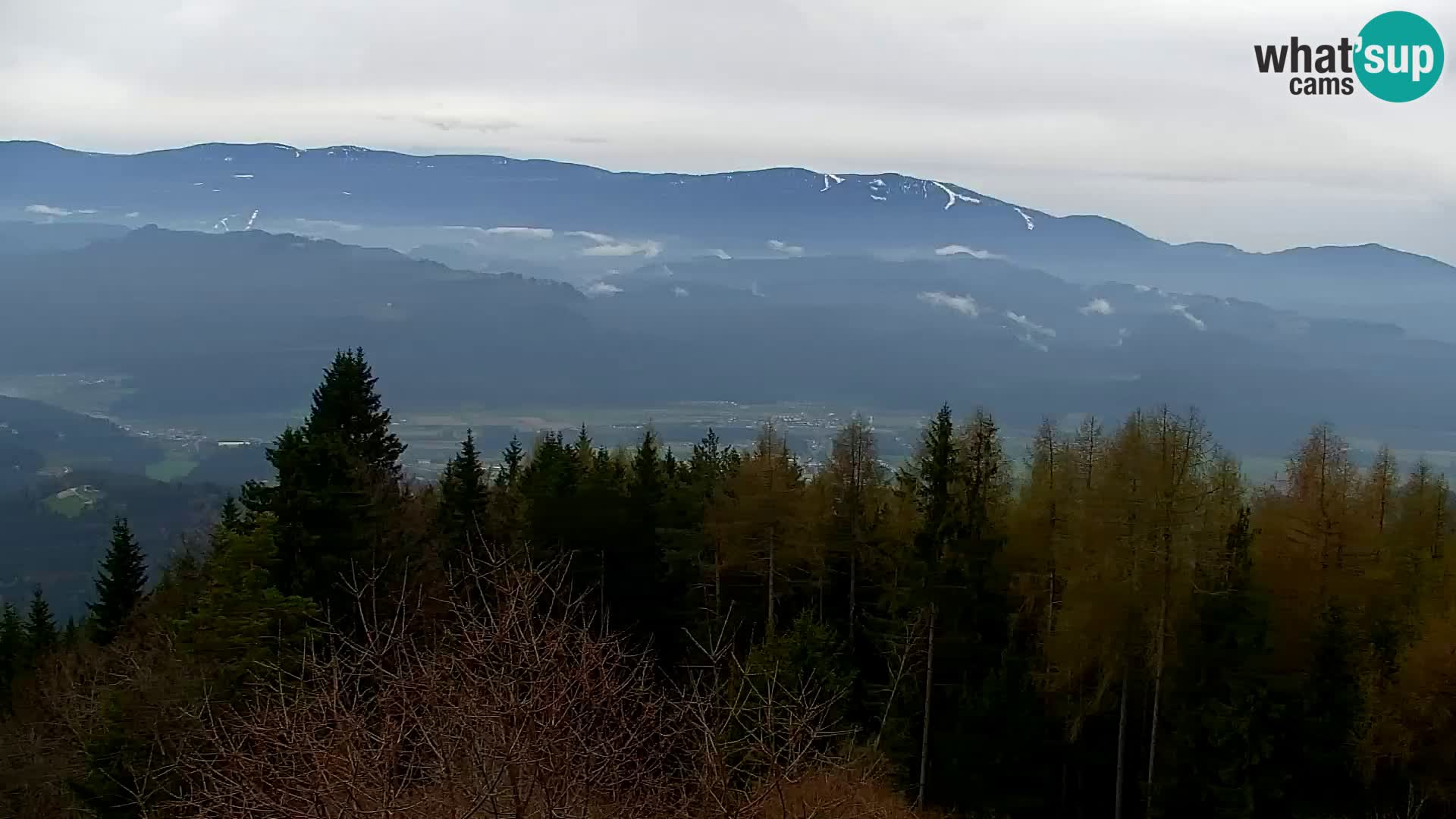 Webcam Kapunar – Radlje ob Dravi