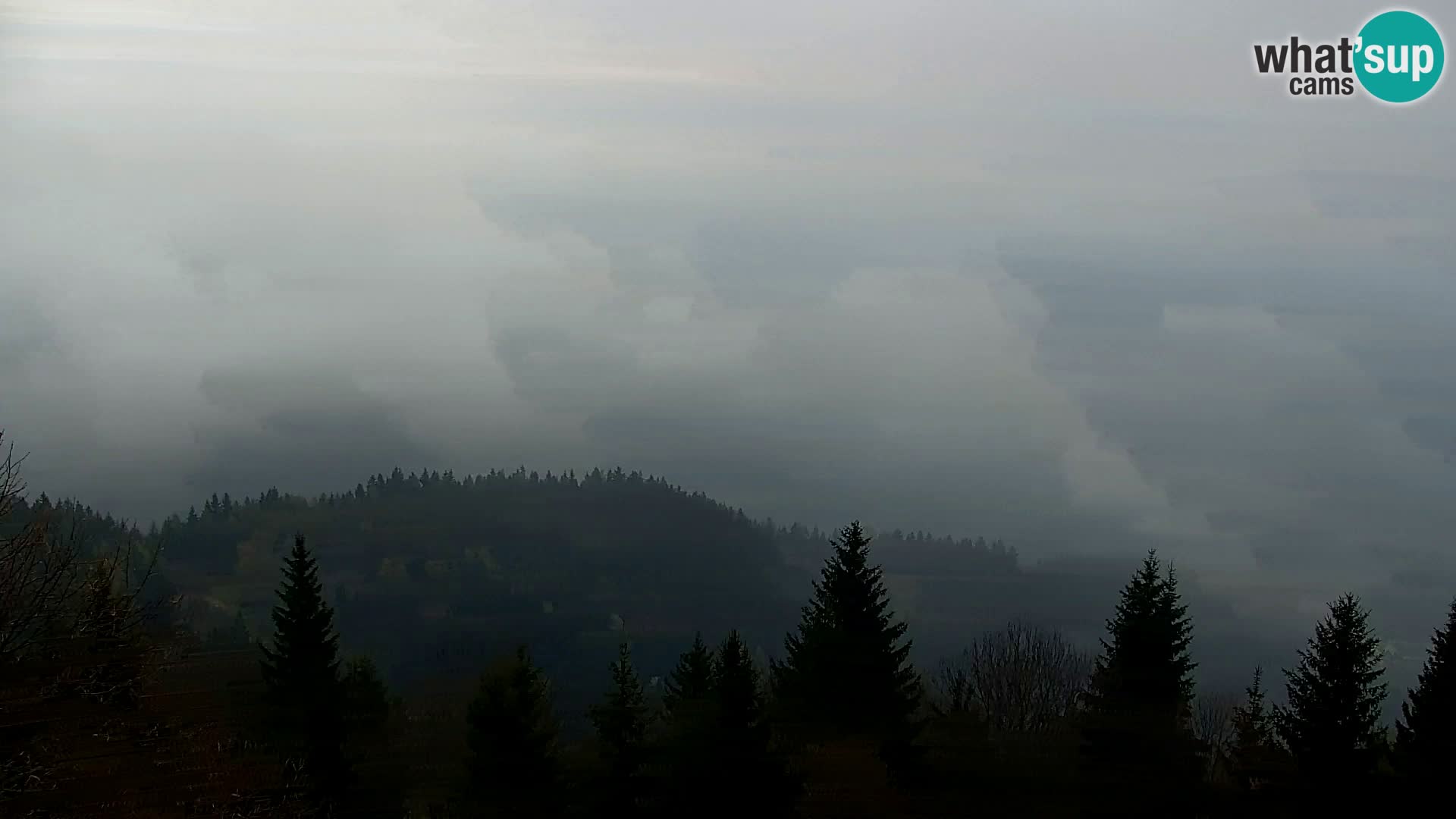 Spletna kamera Kapunar – Radlje ob Dravi