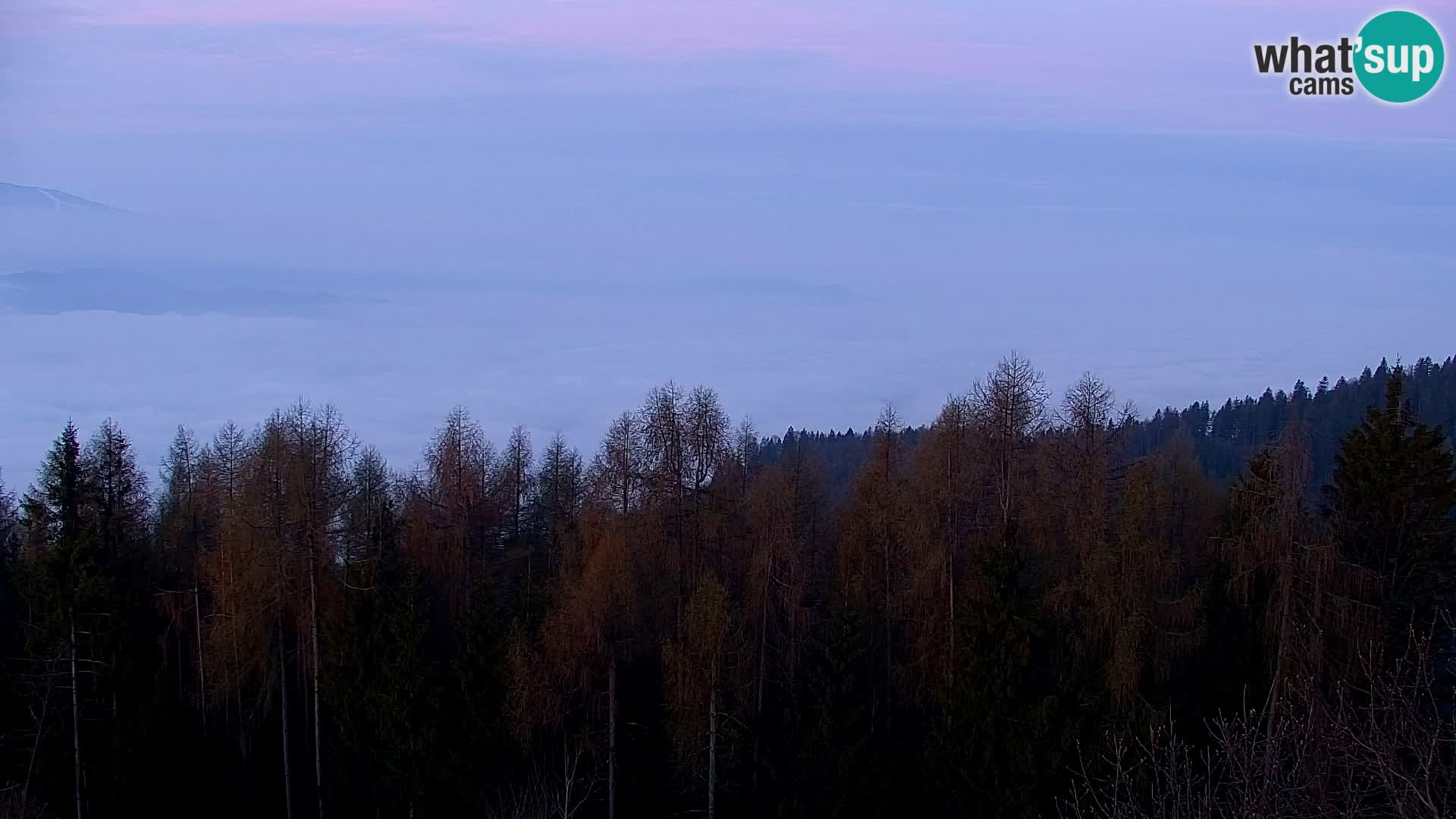 Kapunar Webcam – Radlje ob Dravi