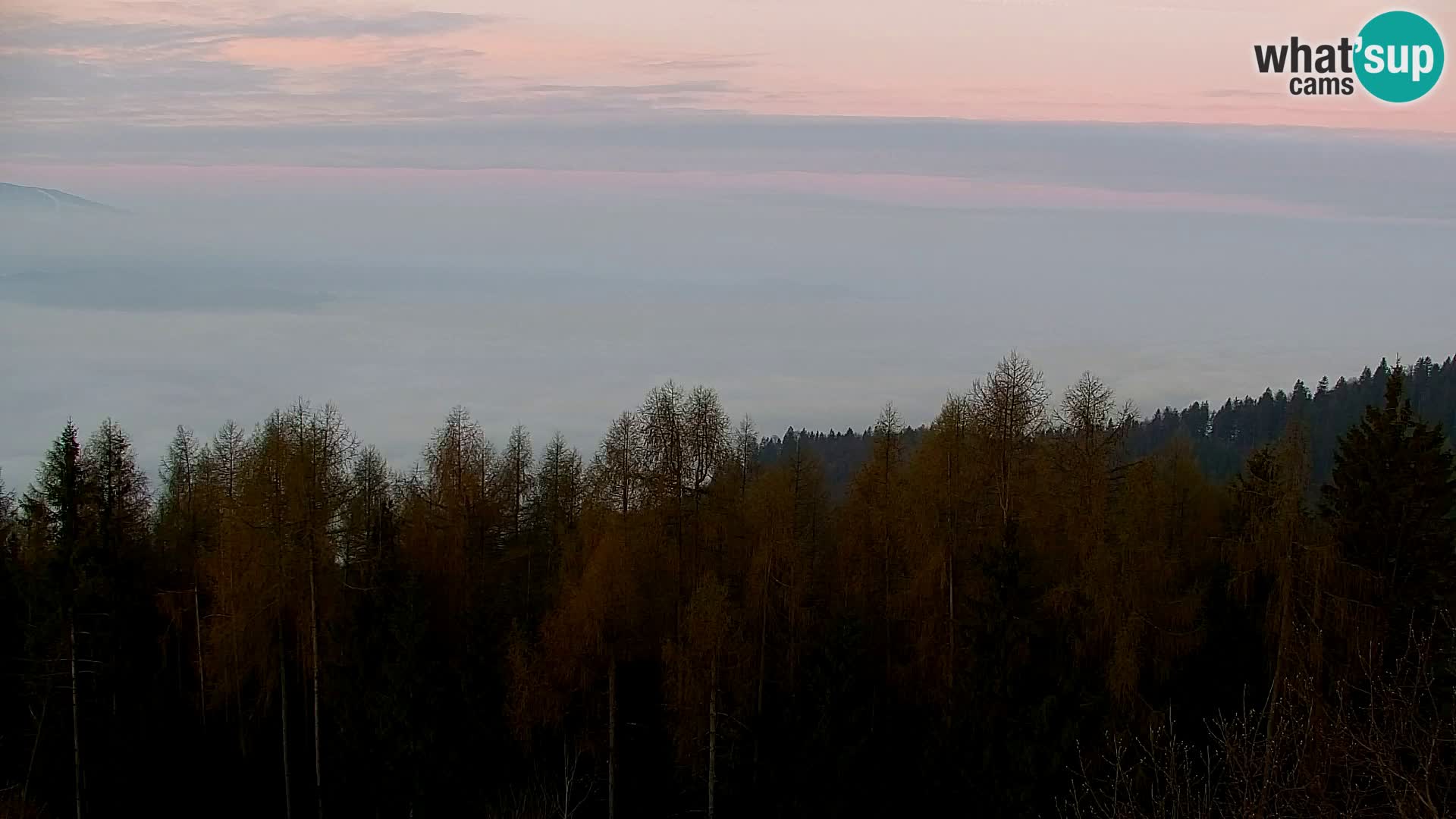 Spletna kamera Kapunar – Radlje ob Dravi