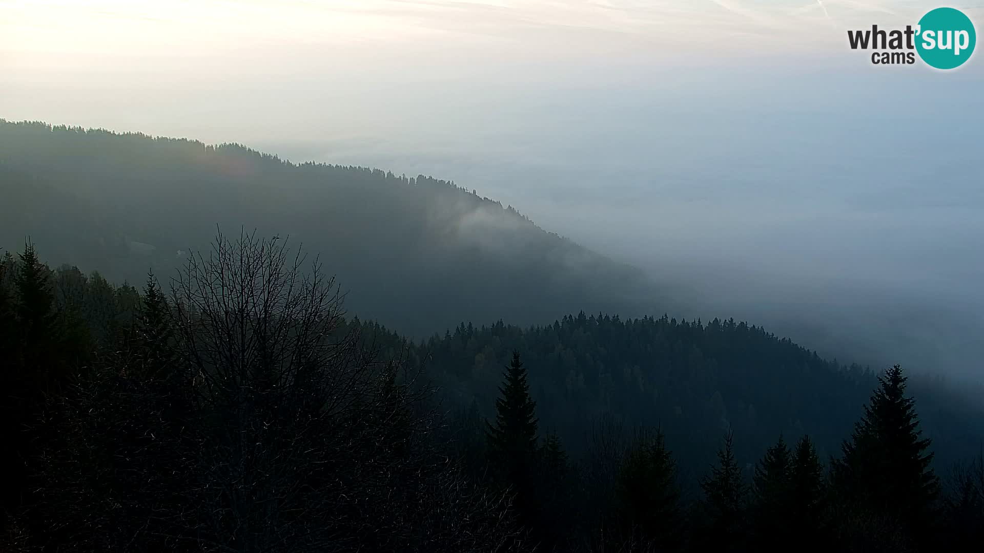 Kapunar Webcam – Radlje ob Dravi