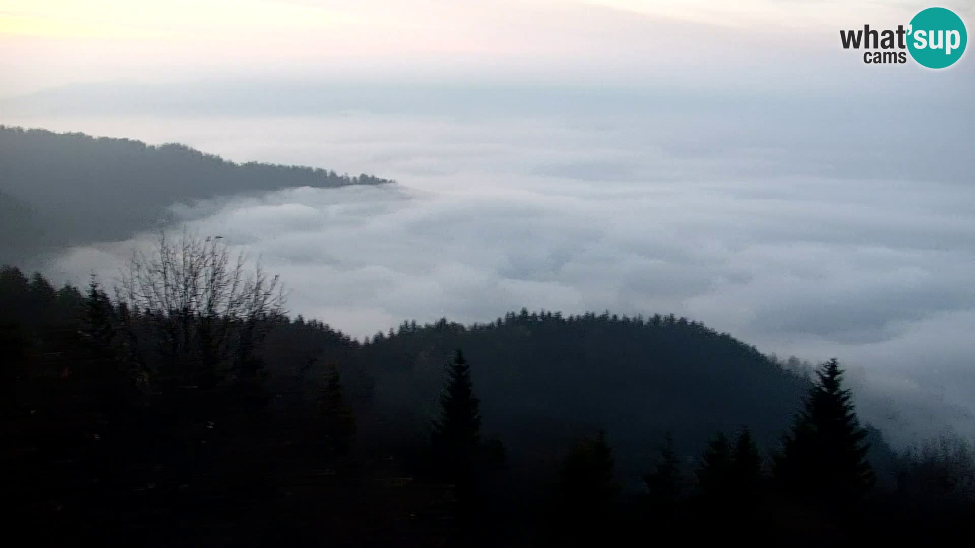 Webcam Kapunar – Radlje ob Dravi