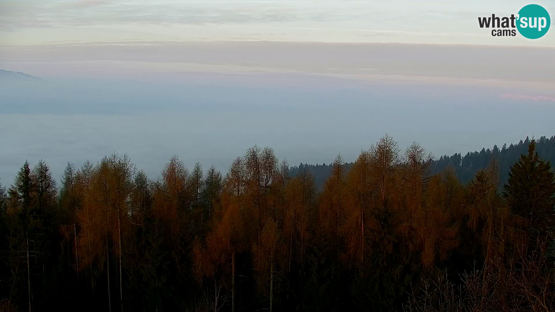 Spletna kamera Kapunar – Radlje ob Dravi