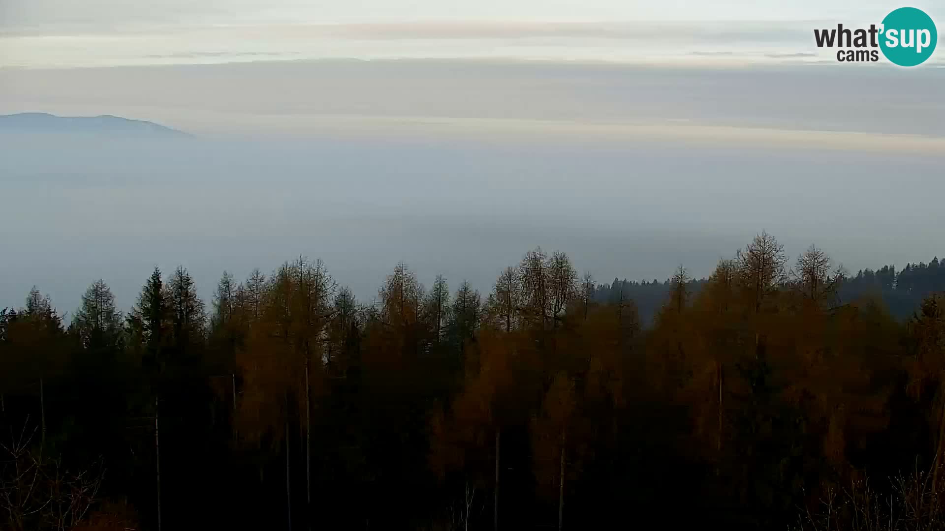 Spletna kamera Kapunar – Radlje ob Dravi