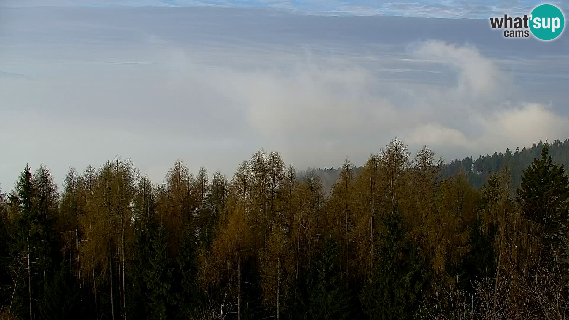 Kapunar Web kamera – Radlje ob Dravi