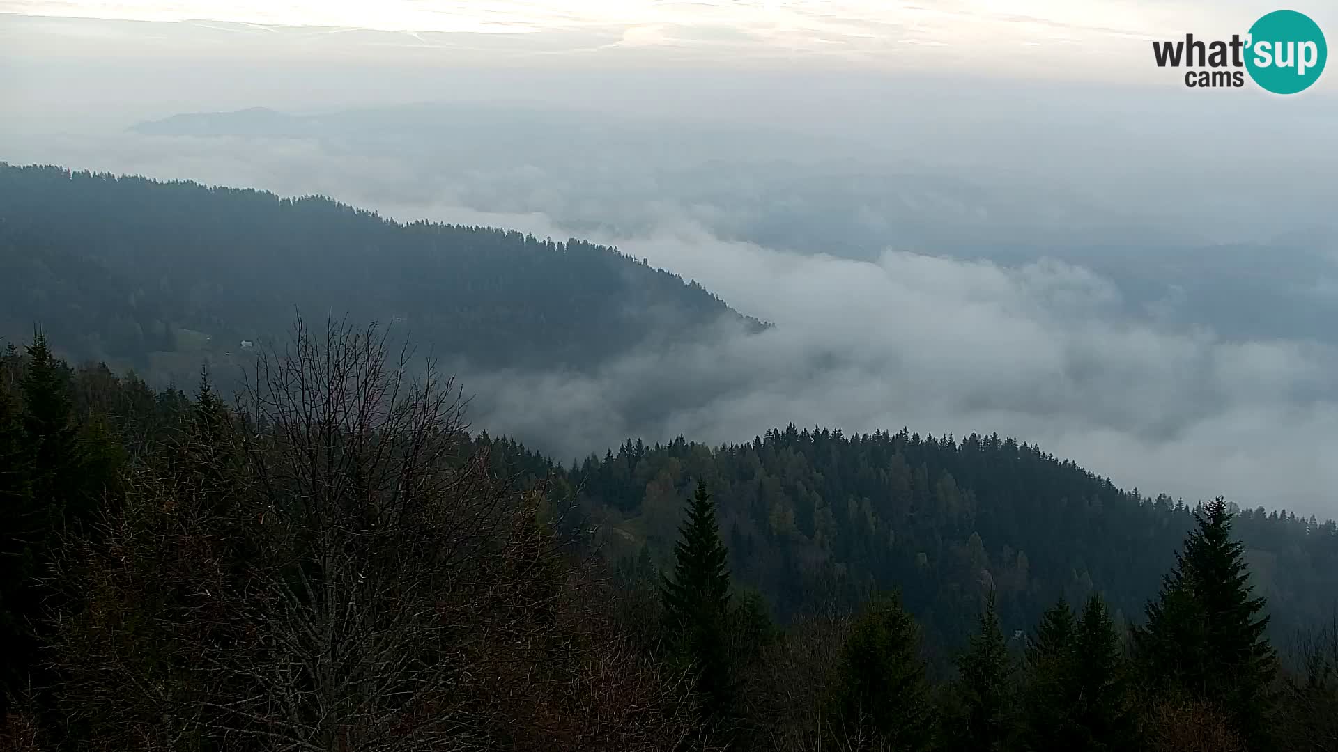 Kapunar Web kamera – Radlje ob Dravi