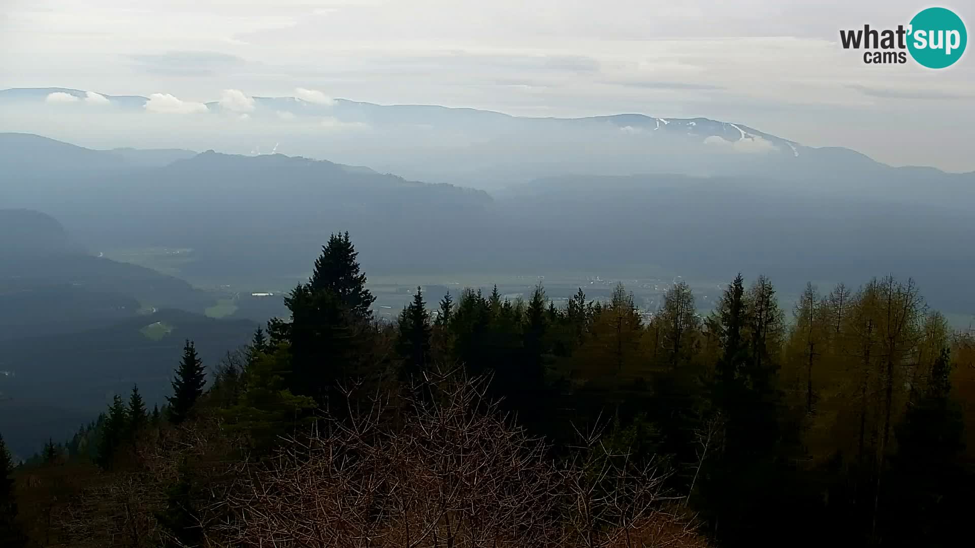 Webcam Kapunar – Radlje ob Dravi