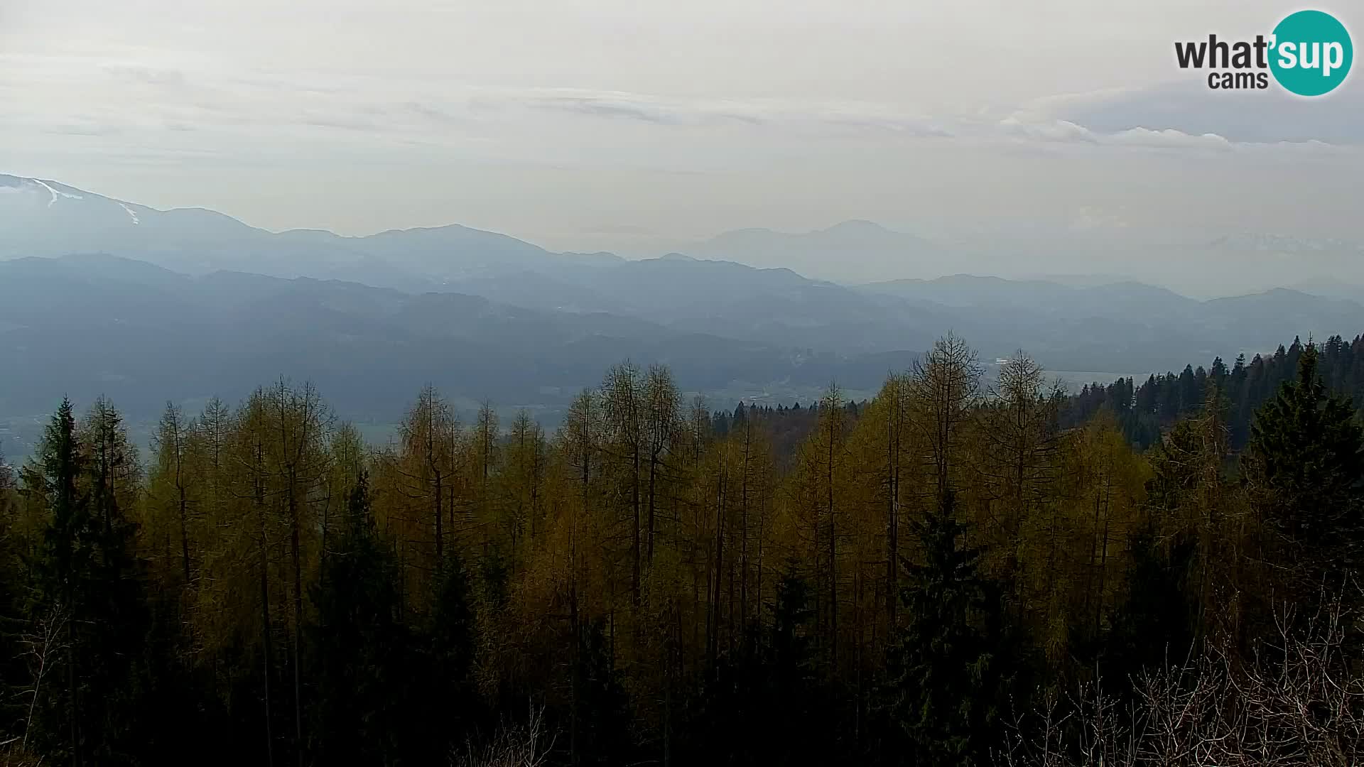 Live cam Kapunar – Radlje ob Dravi