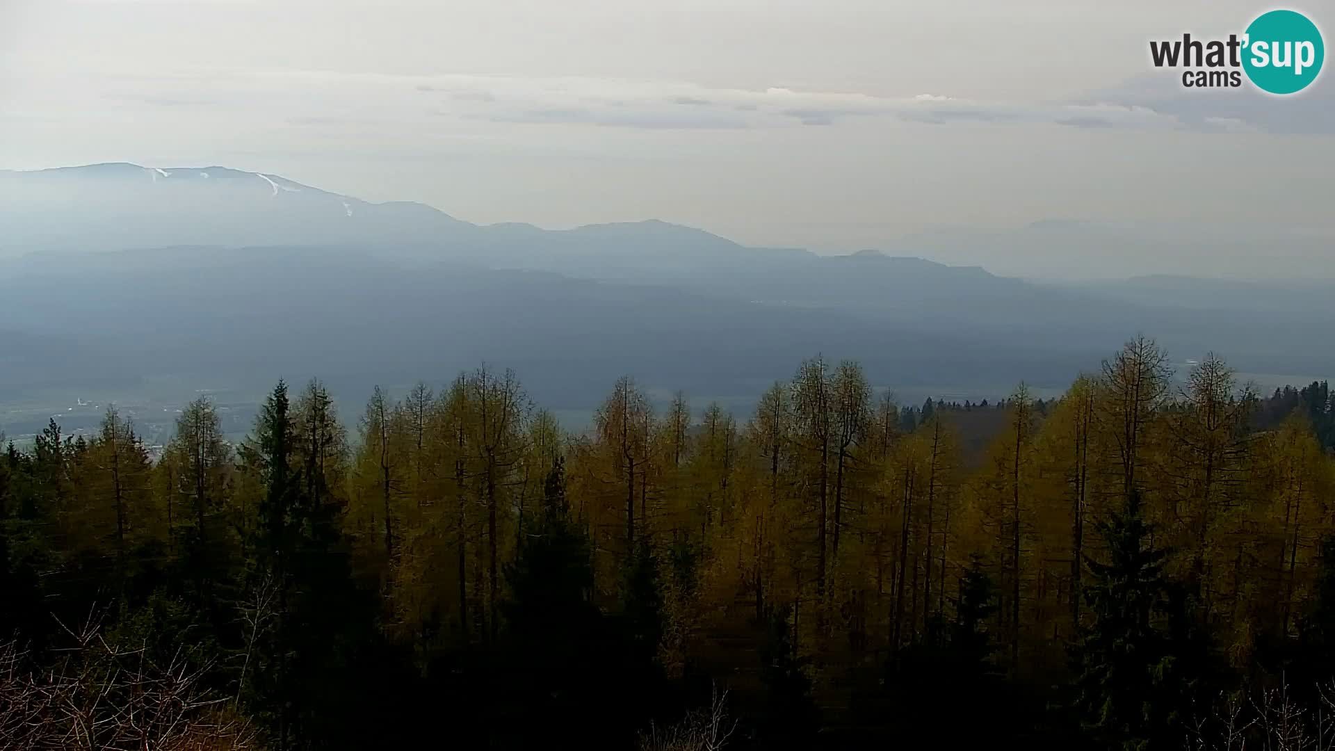 Kapunar Webcam – Radlje ob Dravi