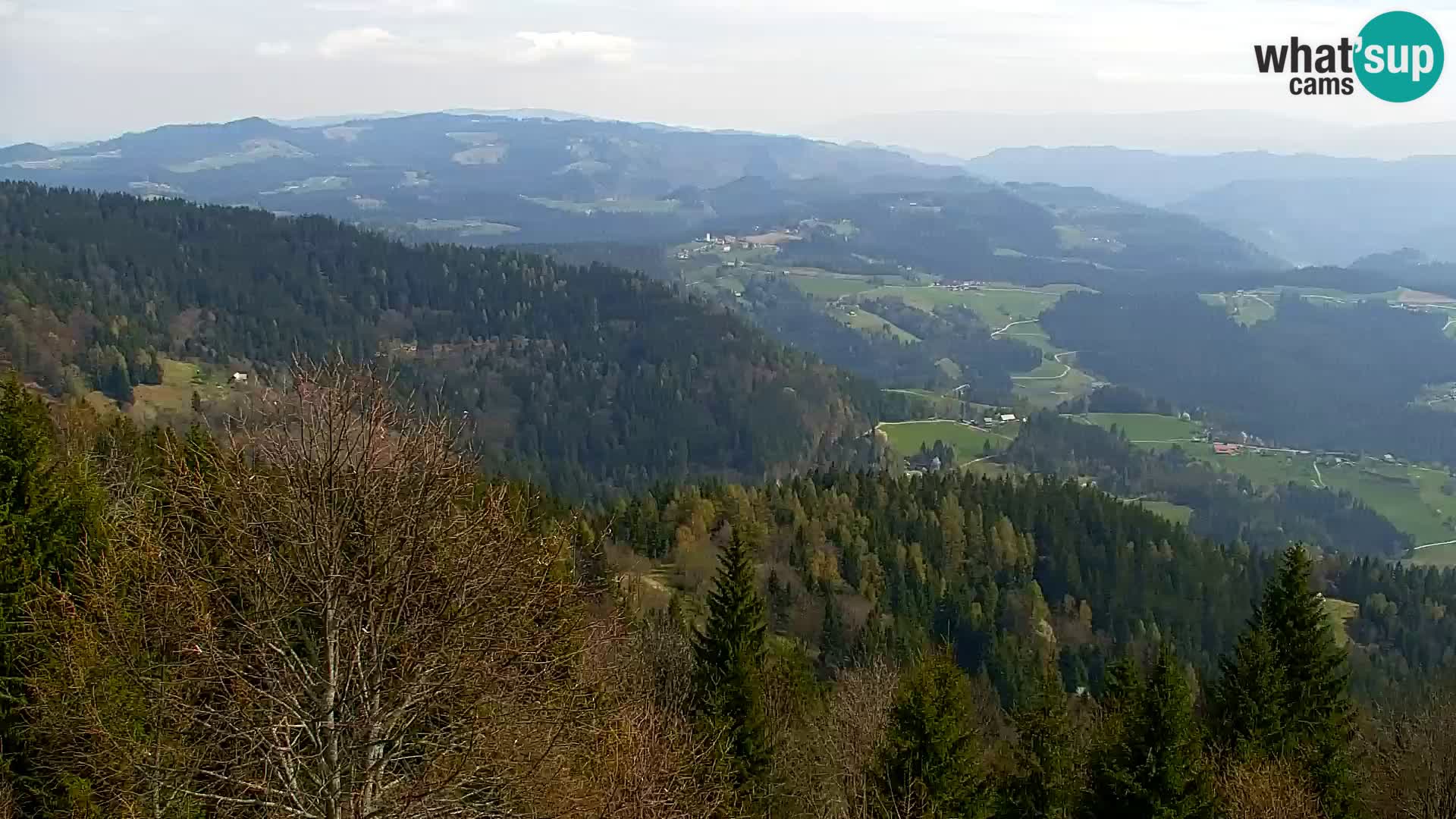 Webcam Kapunar – Radlje ob Dravi