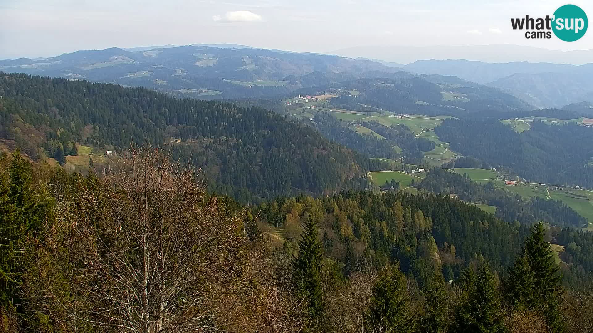 Live cam Kapunar – Radlje ob Dravi