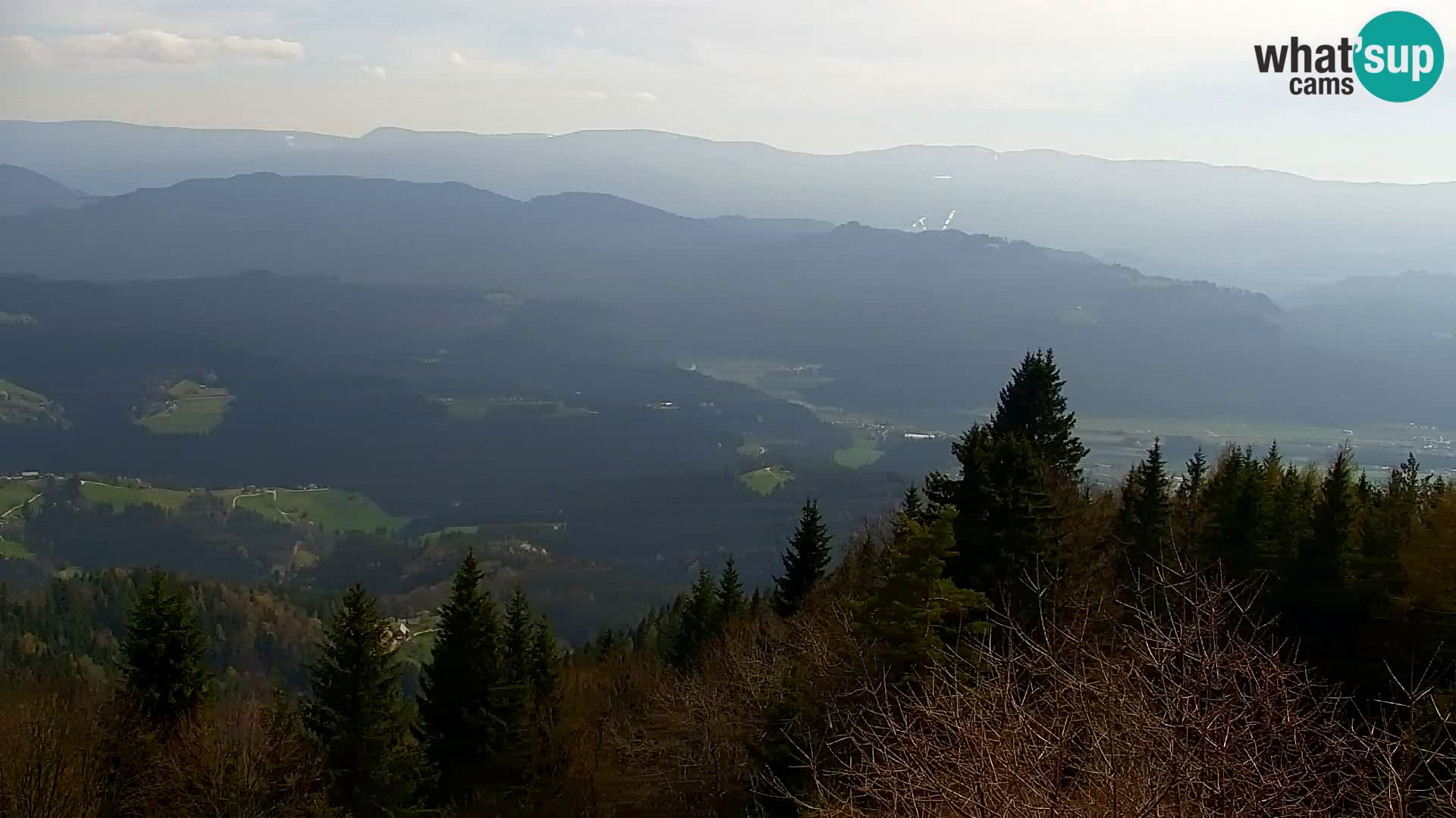 Spletna kamera Kapunar – Radlje ob Dravi