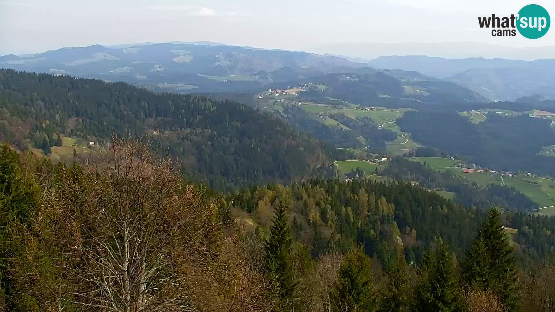 Kapunar Webcam – Radlje ob Dravi