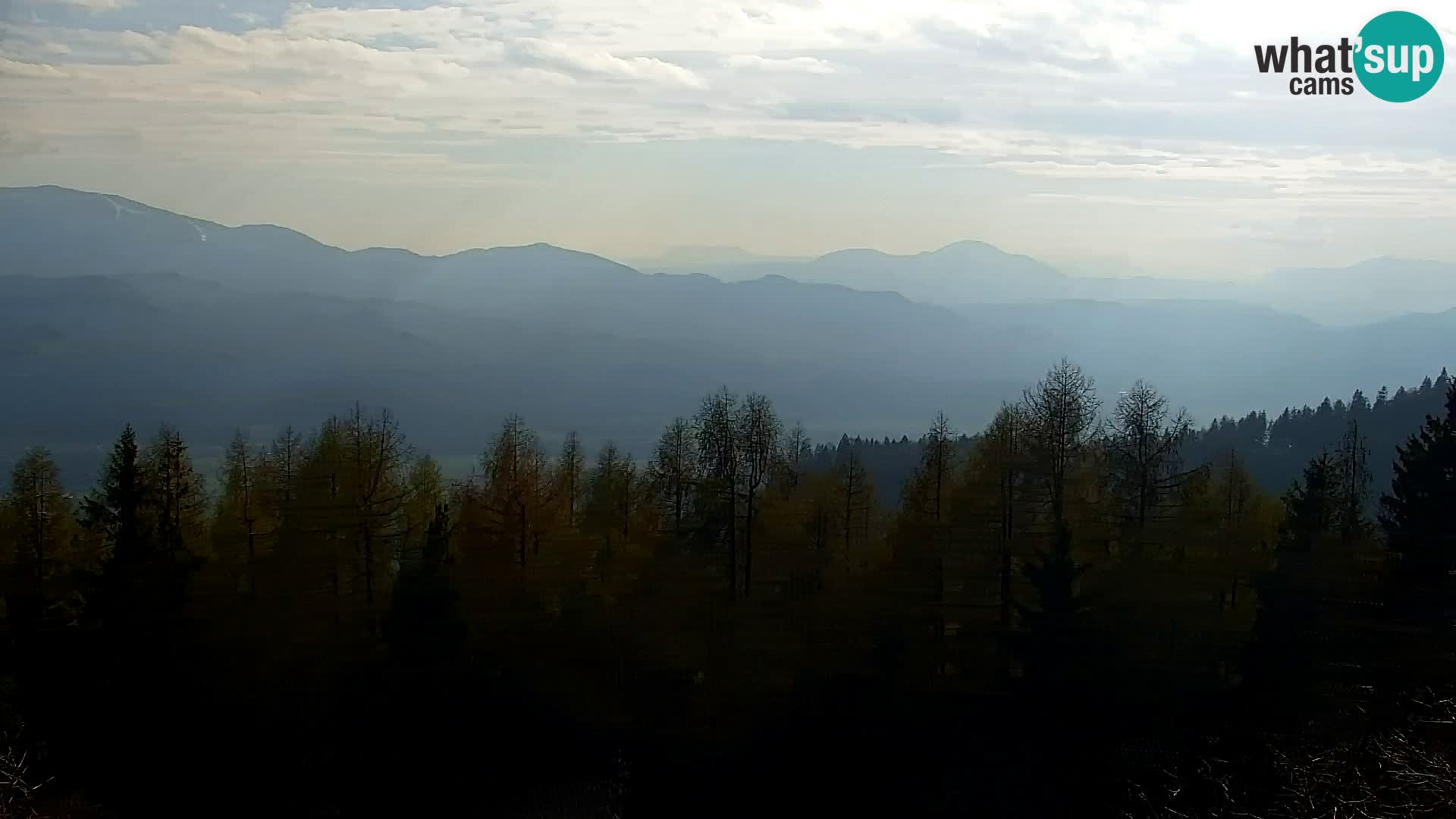 Live cam Kapunar – Radlje ob Dravi