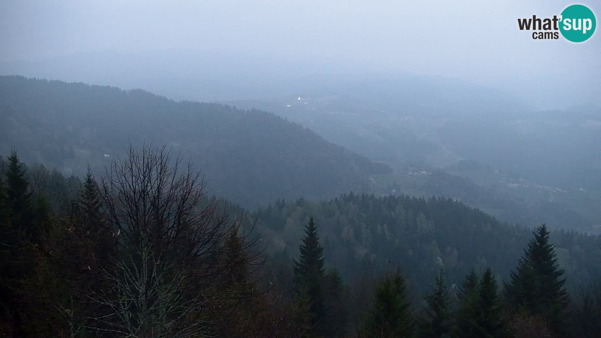 Spletna kamera Kapunar – Radlje ob Dravi