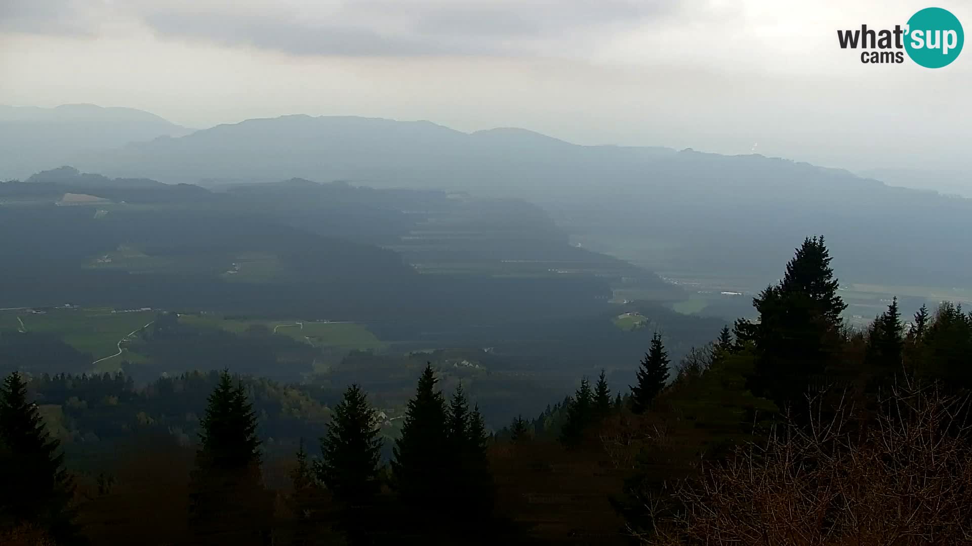 Kapunar Webcam – Radlje ob Dravi